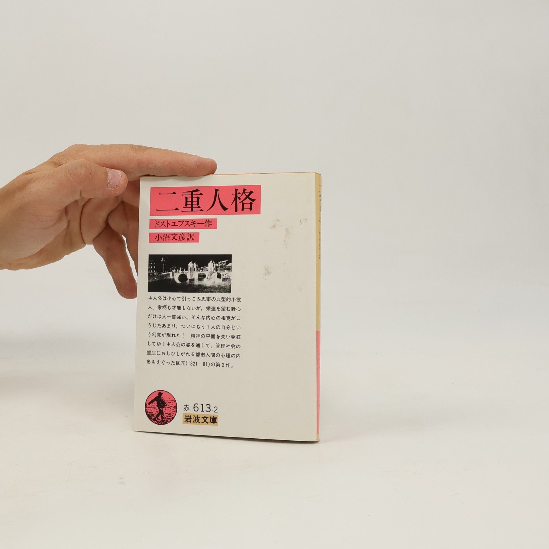 小沼文彦 岩波文庫: 二重人格