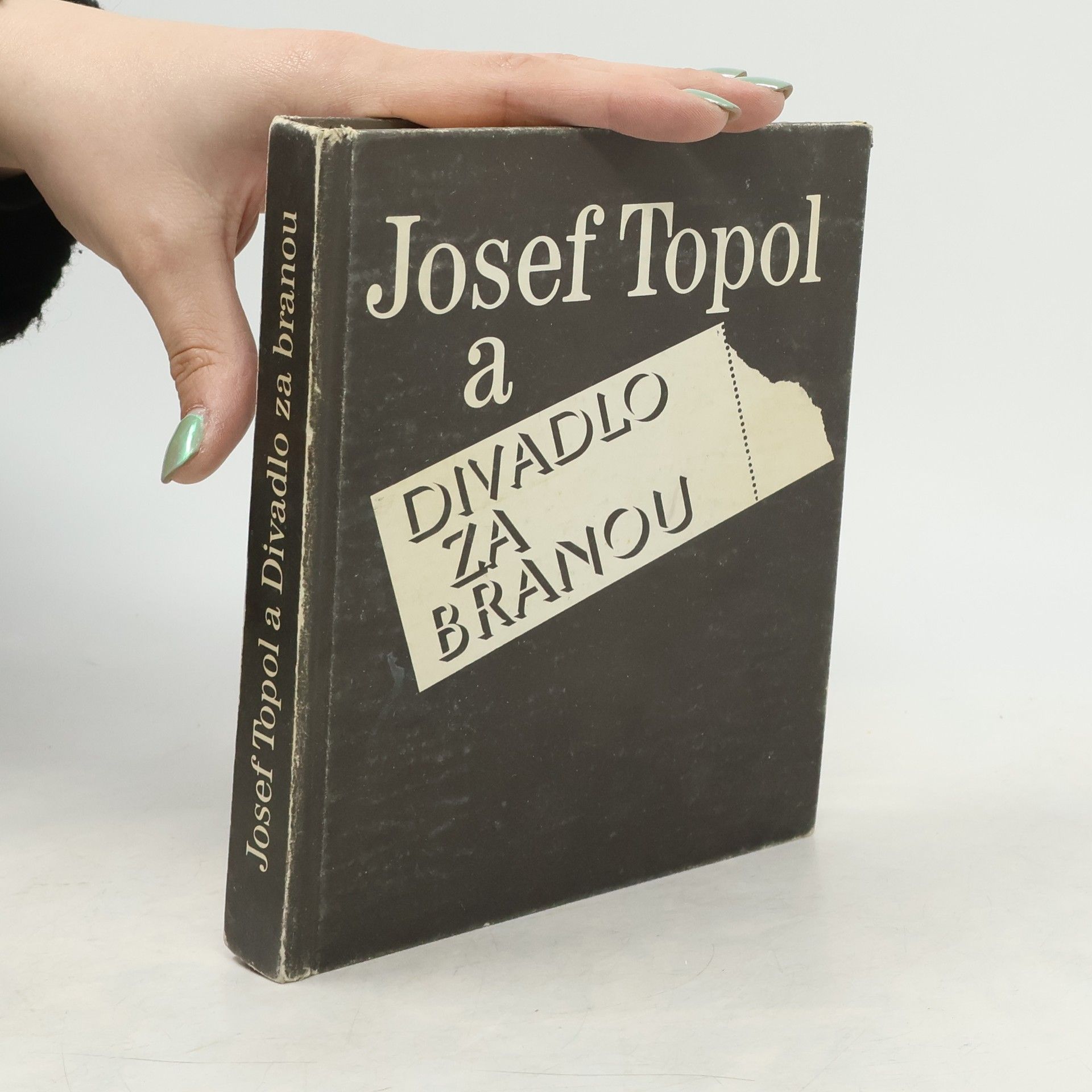 Barbara Topolová Josef Topol a Divadlo Za branou