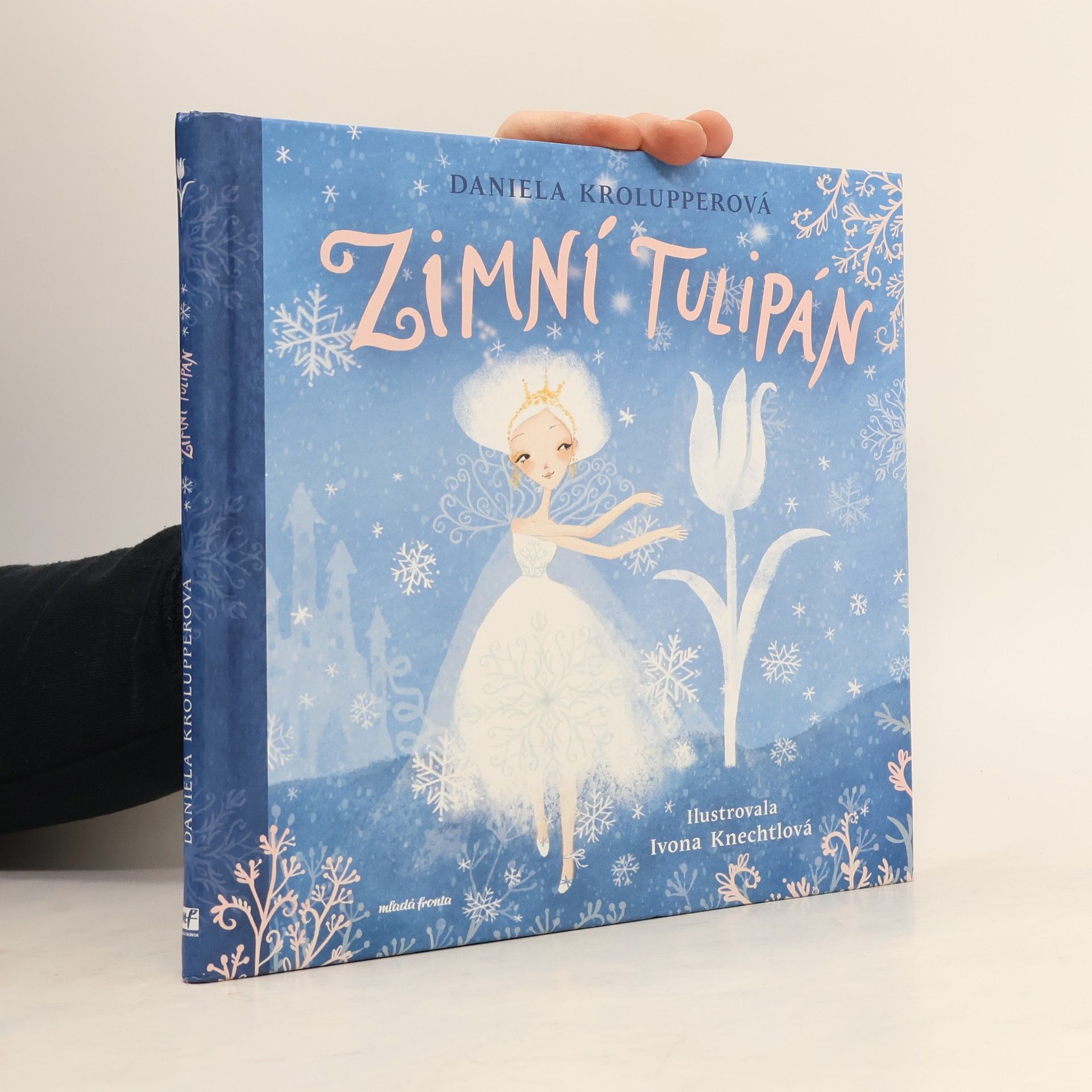 Ivona Knechtlová Zimní tulipán