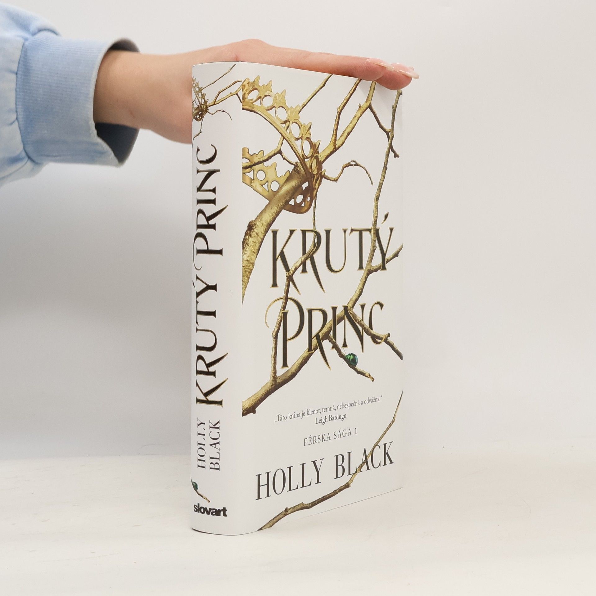 Holly Black Krutý princ