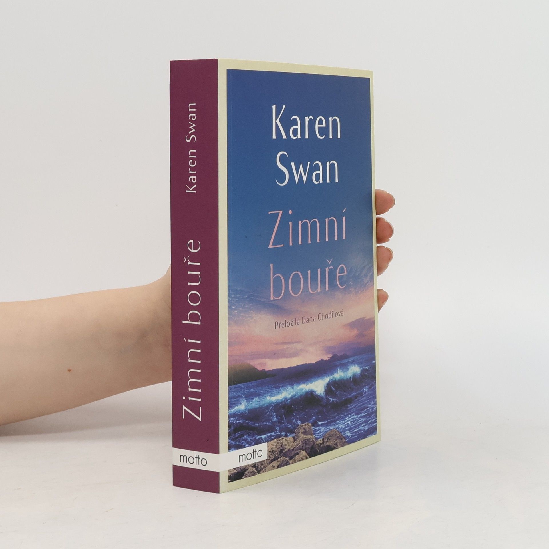 Karen Swan Zimní bouře