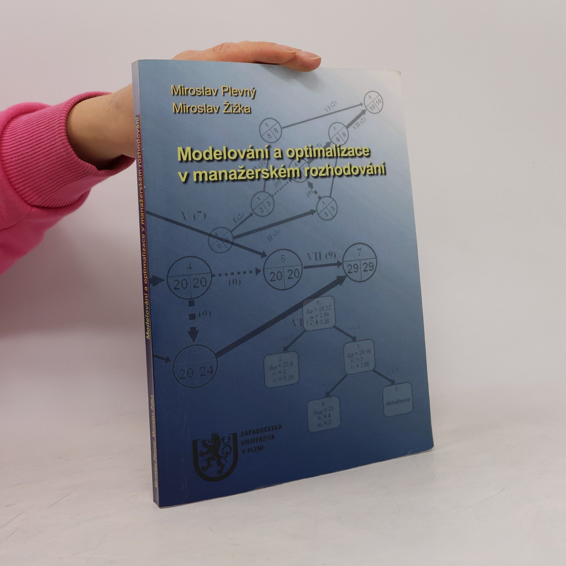 Miroslav Plevný Modelování a optimalizace v manažerském rozhodování