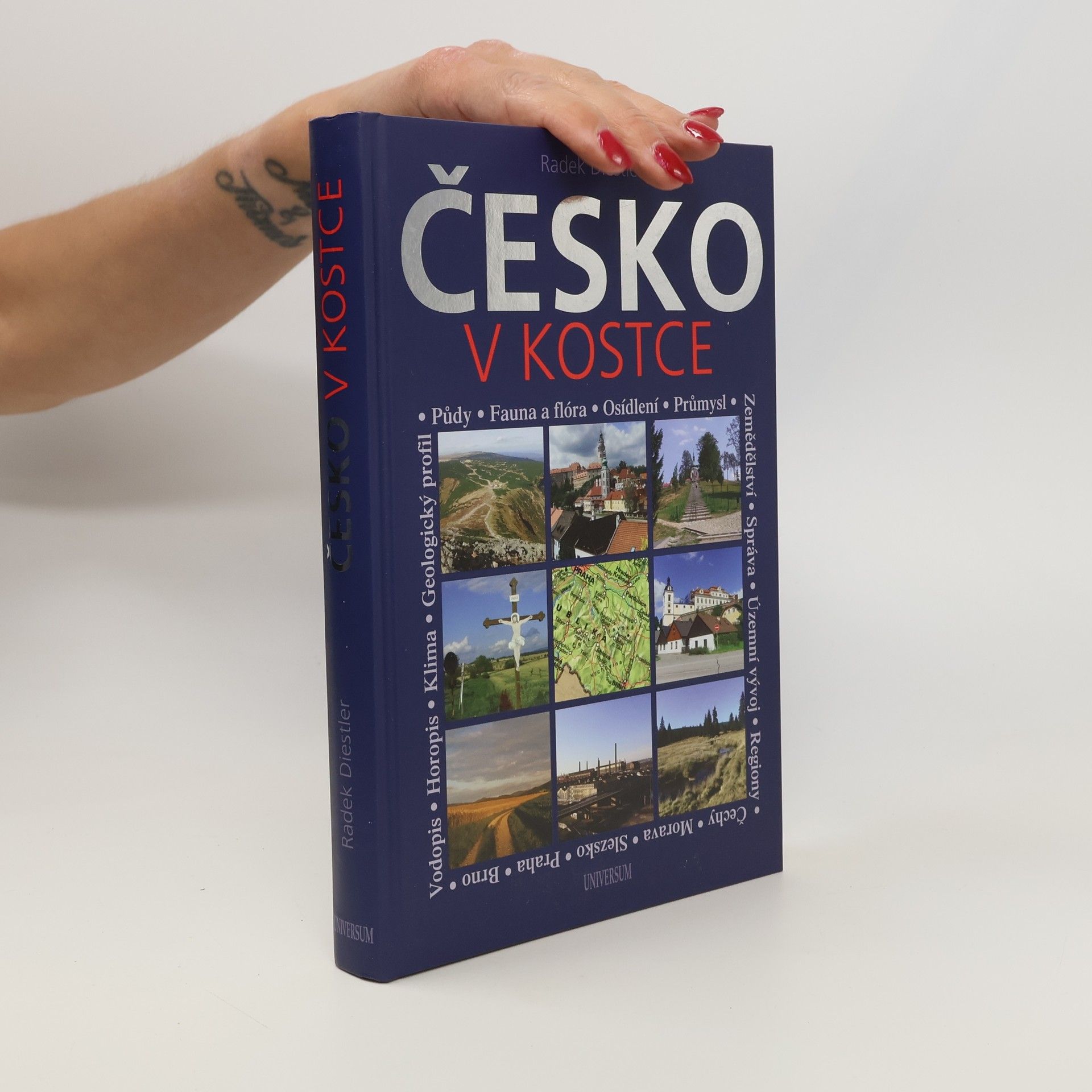 Radek Diestler Česko v kostce : netradiční vlastivěda pro každého