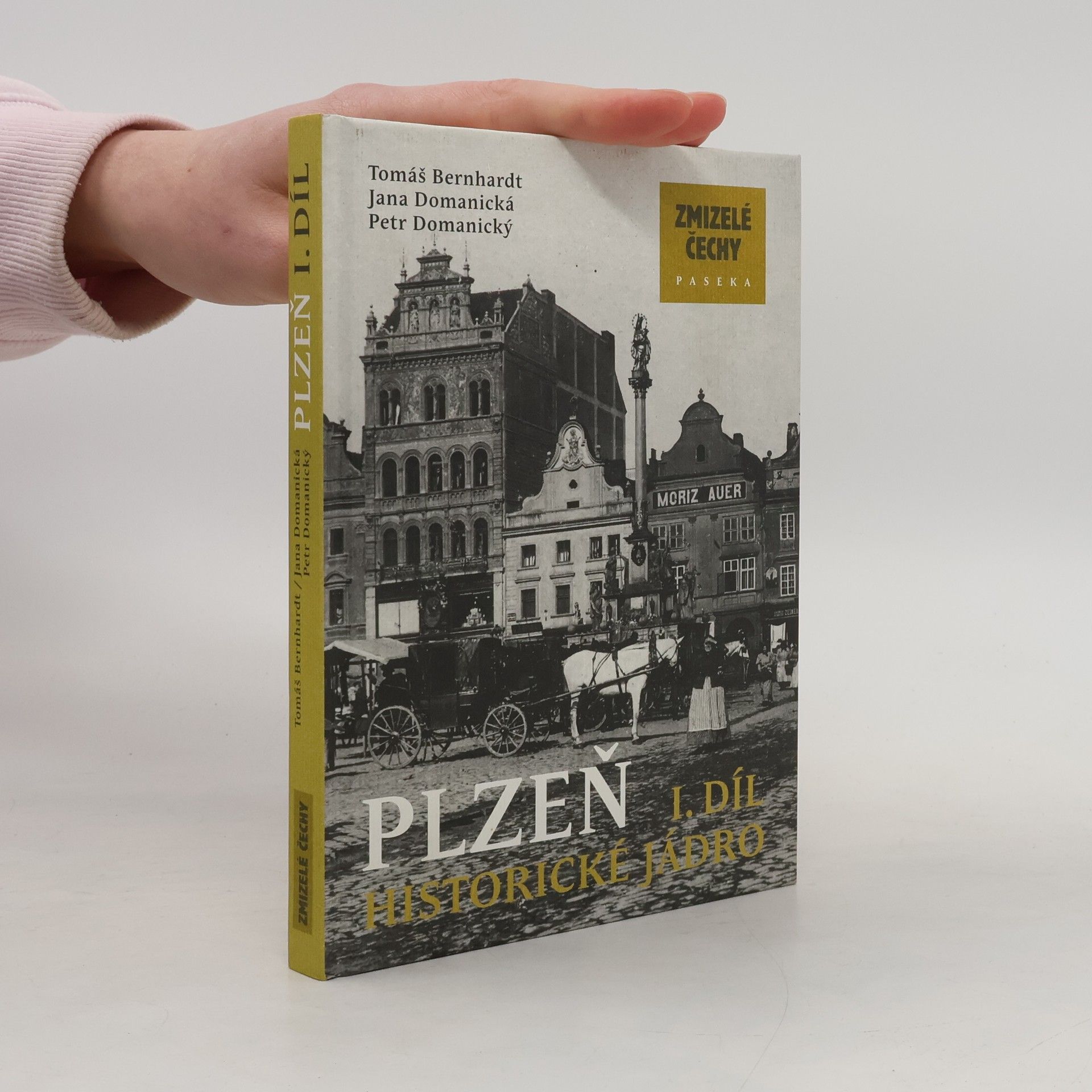 Jana Domanická Plzeň I: Historické jádro