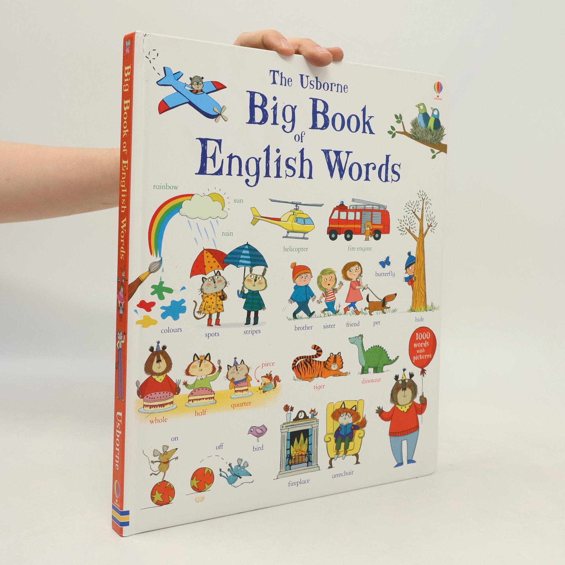 Mairi Mackinnon The Usborne Big Book of English Words