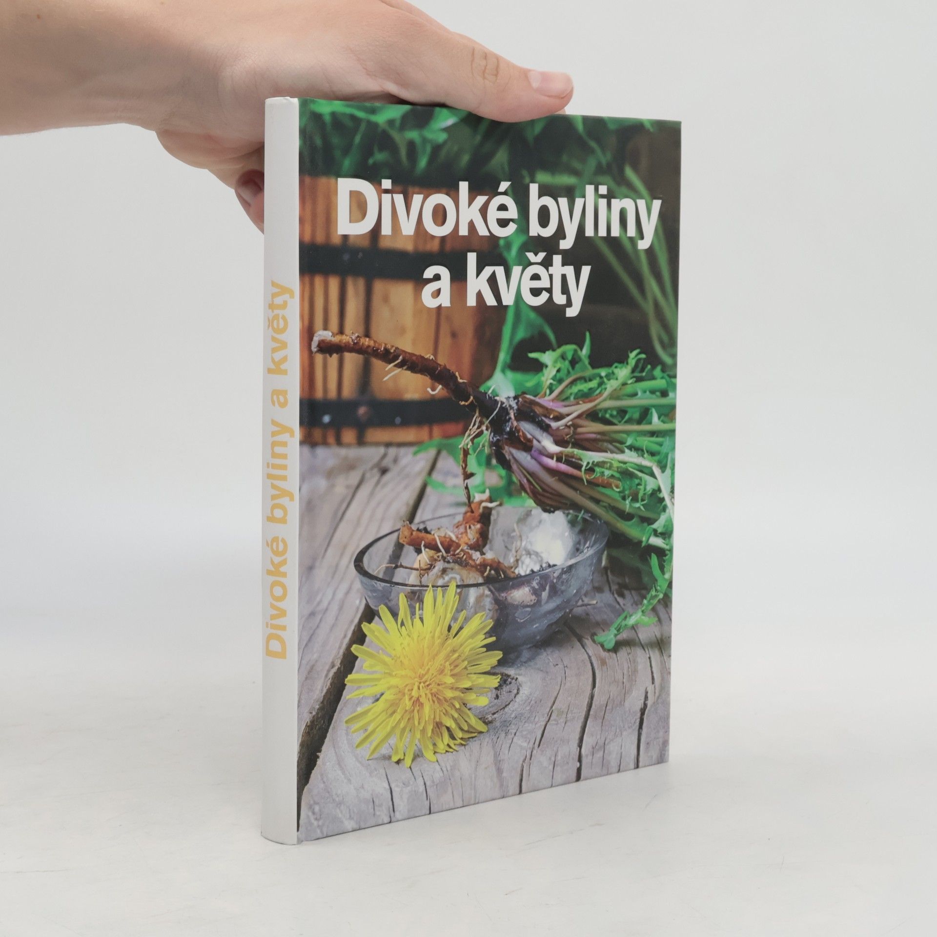 Andrea Malá Divoké byliny a květy