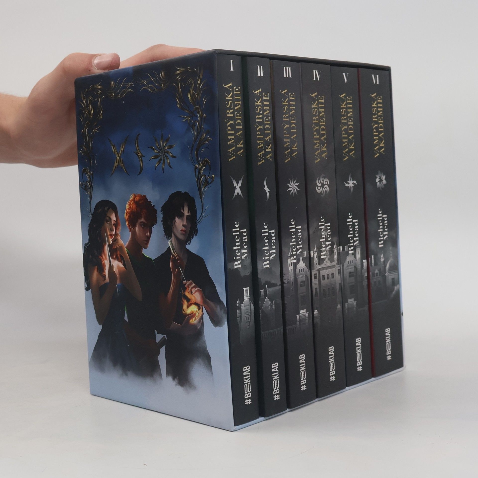 Richelle Mead Vampýrská akademie 1. - 6. díl
