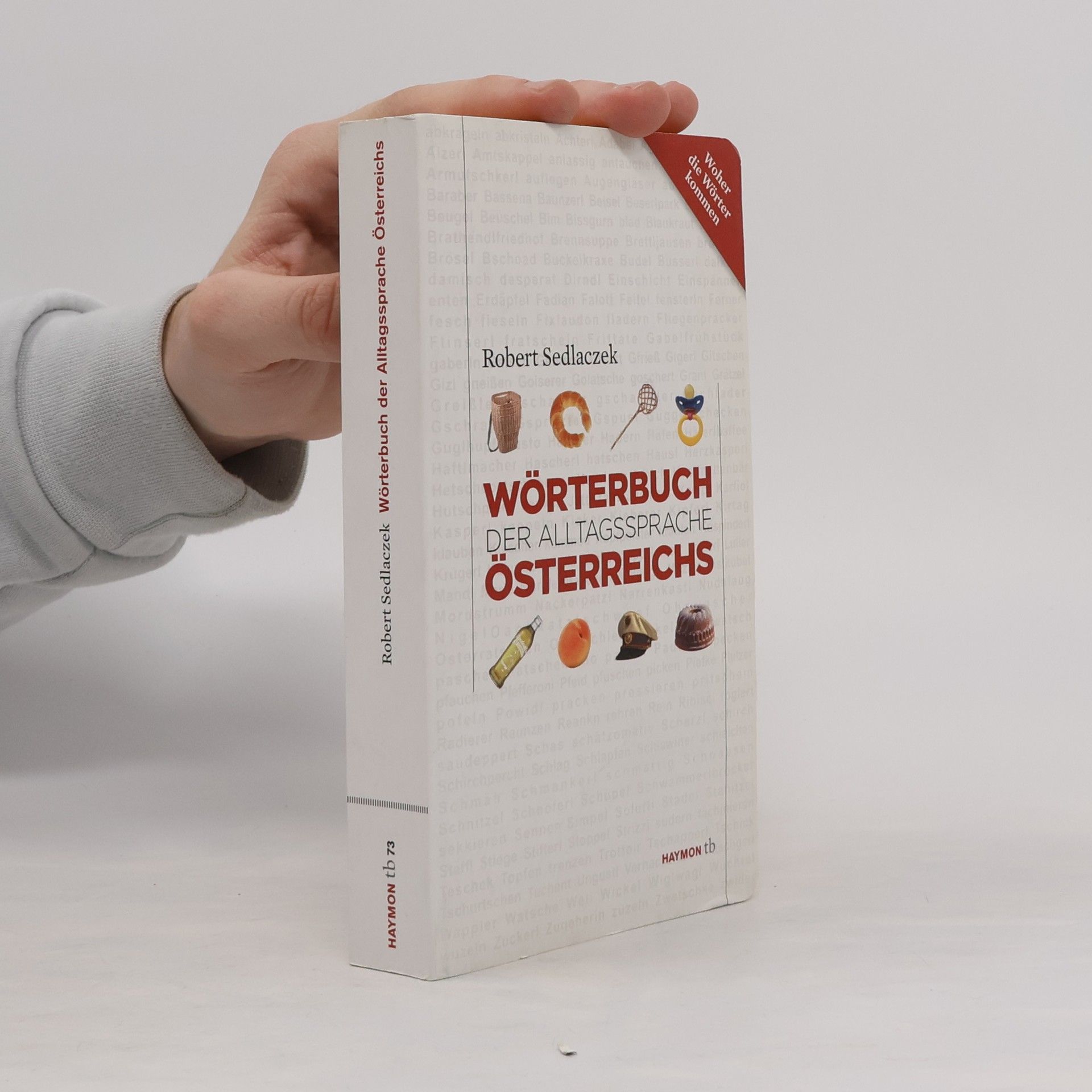 Heinz Dieter Pohl Wörterbuch der Alltagssprache Österreichs