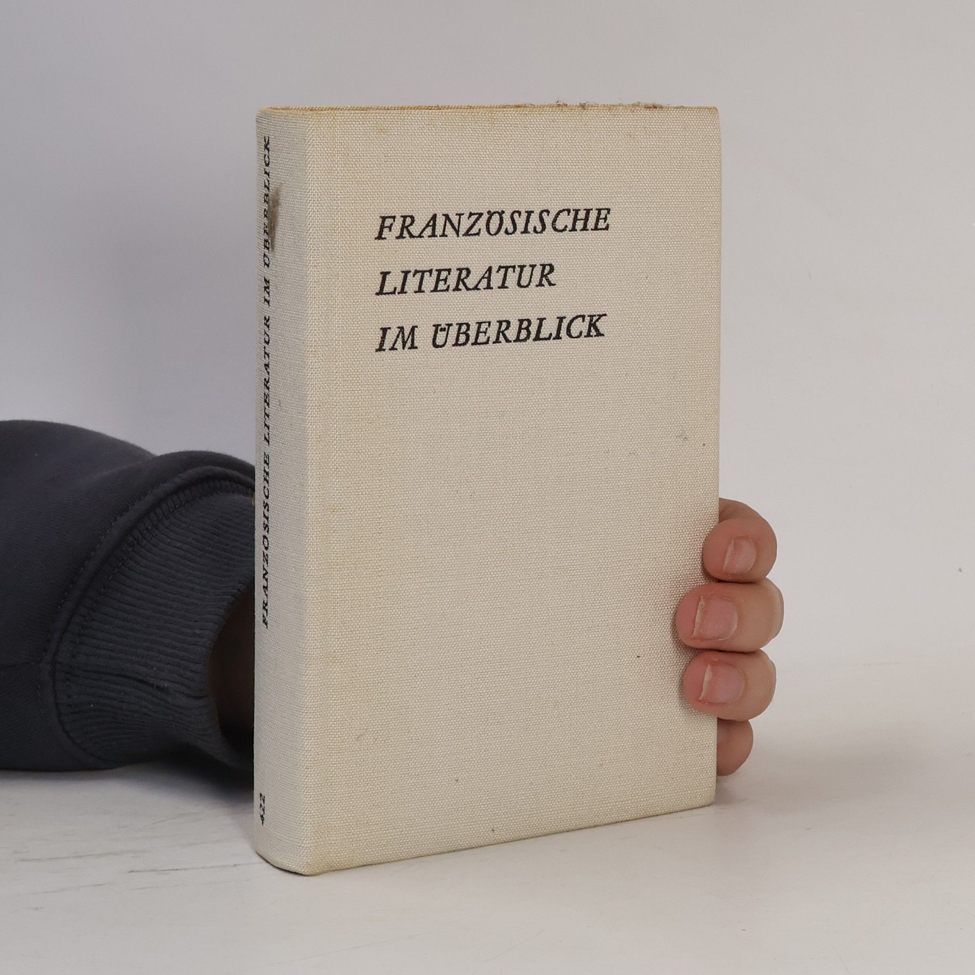 AA.VV. Französische Literatur im Überblick