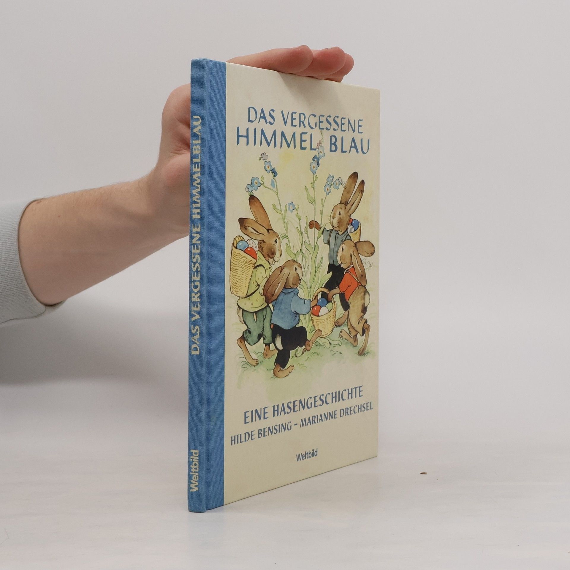 Marianne Drechsel Das vergessene Himmelblau