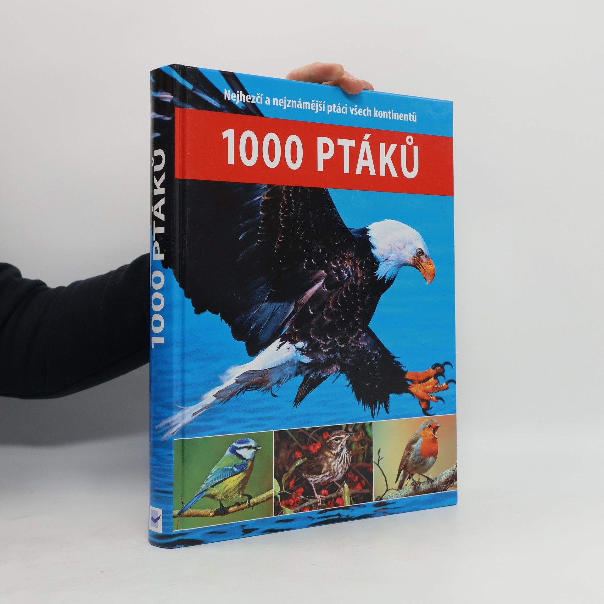 Dagmar Steidlová 1000 ptáků Tisíc ptáků