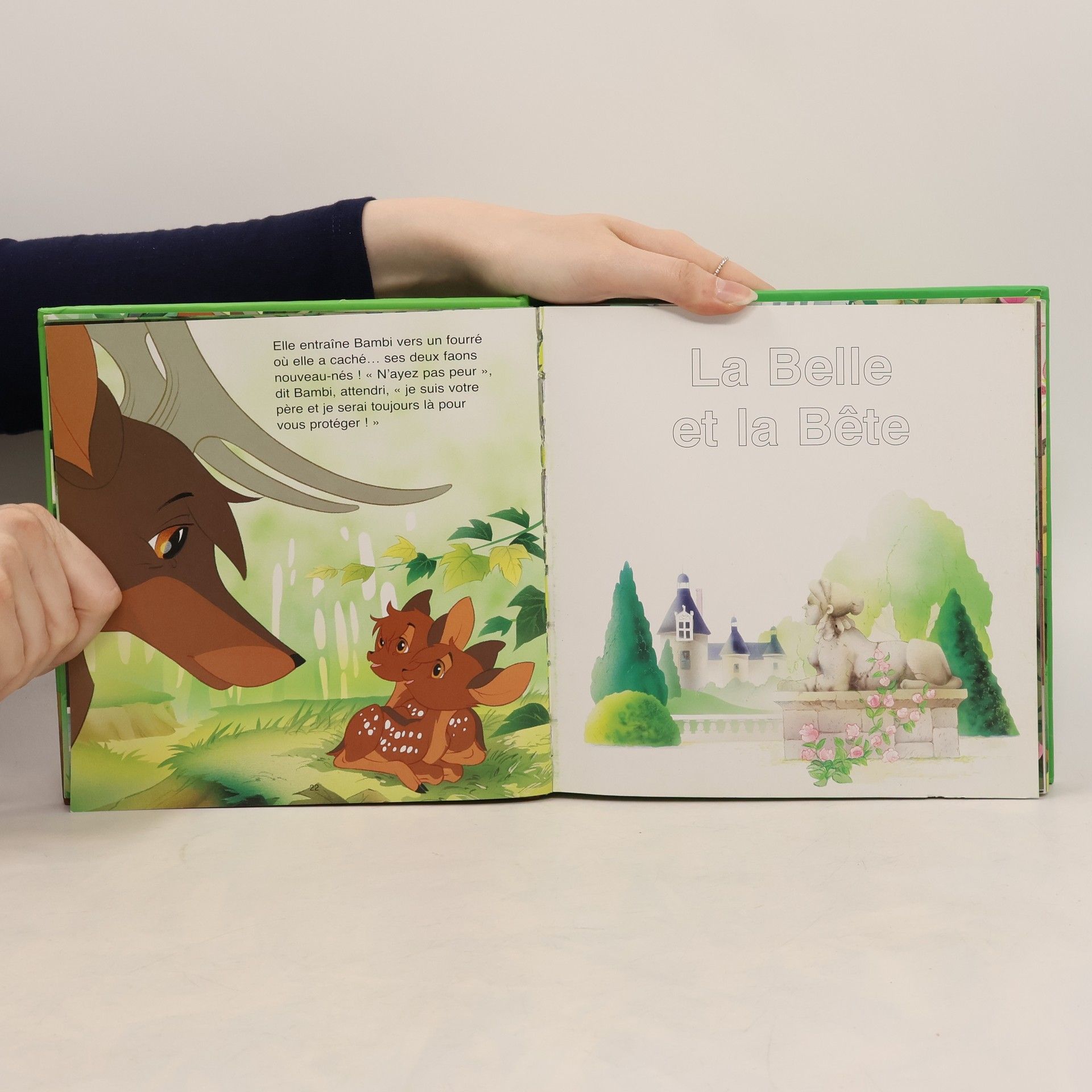 Van Gool Contes des pays enchantés