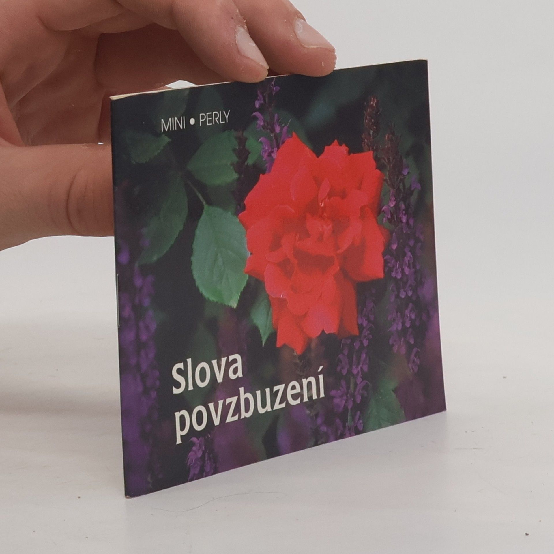 Miroslav Matouš Slova povzbuzení