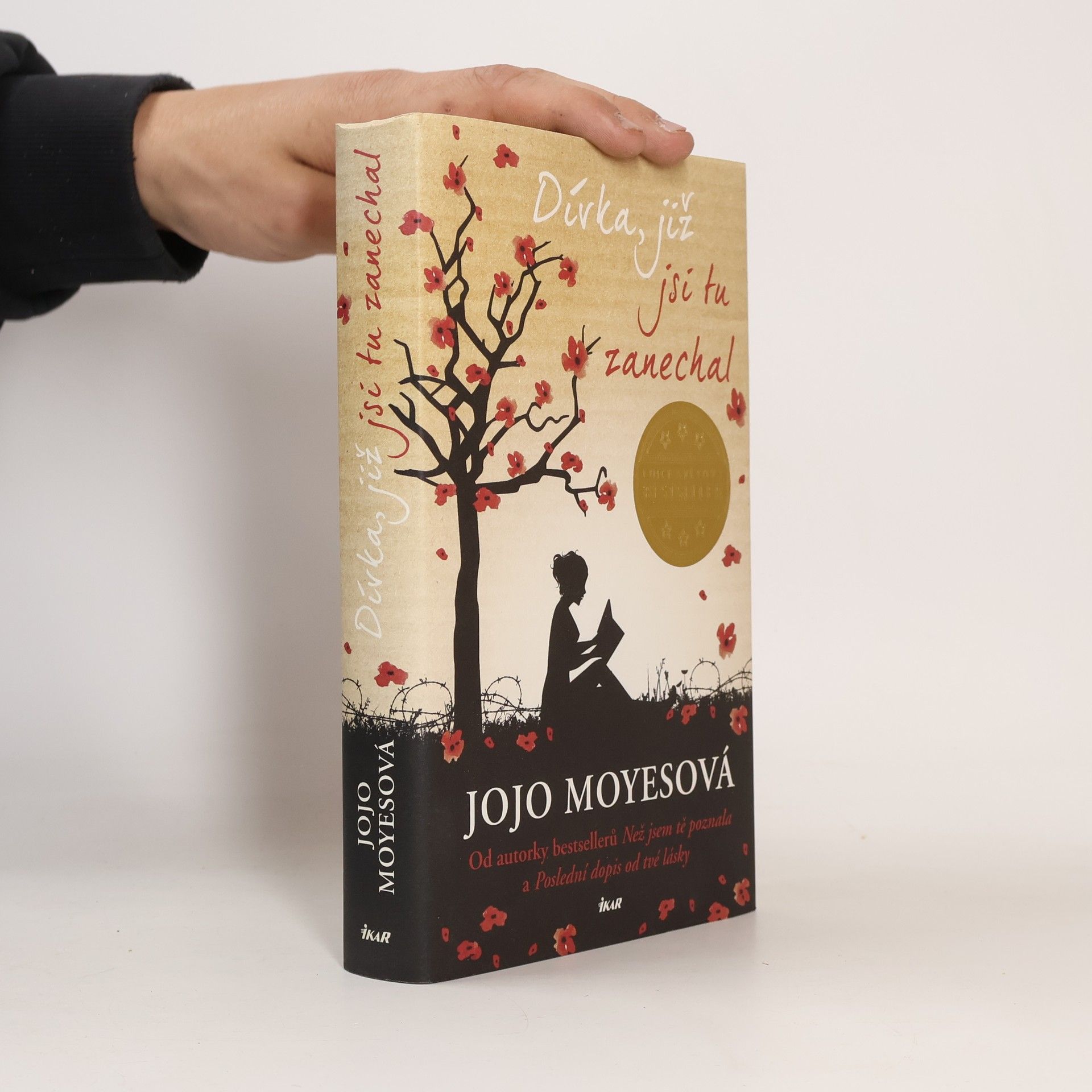 Jojo Moyes Dívka, již jsi tu zanechal