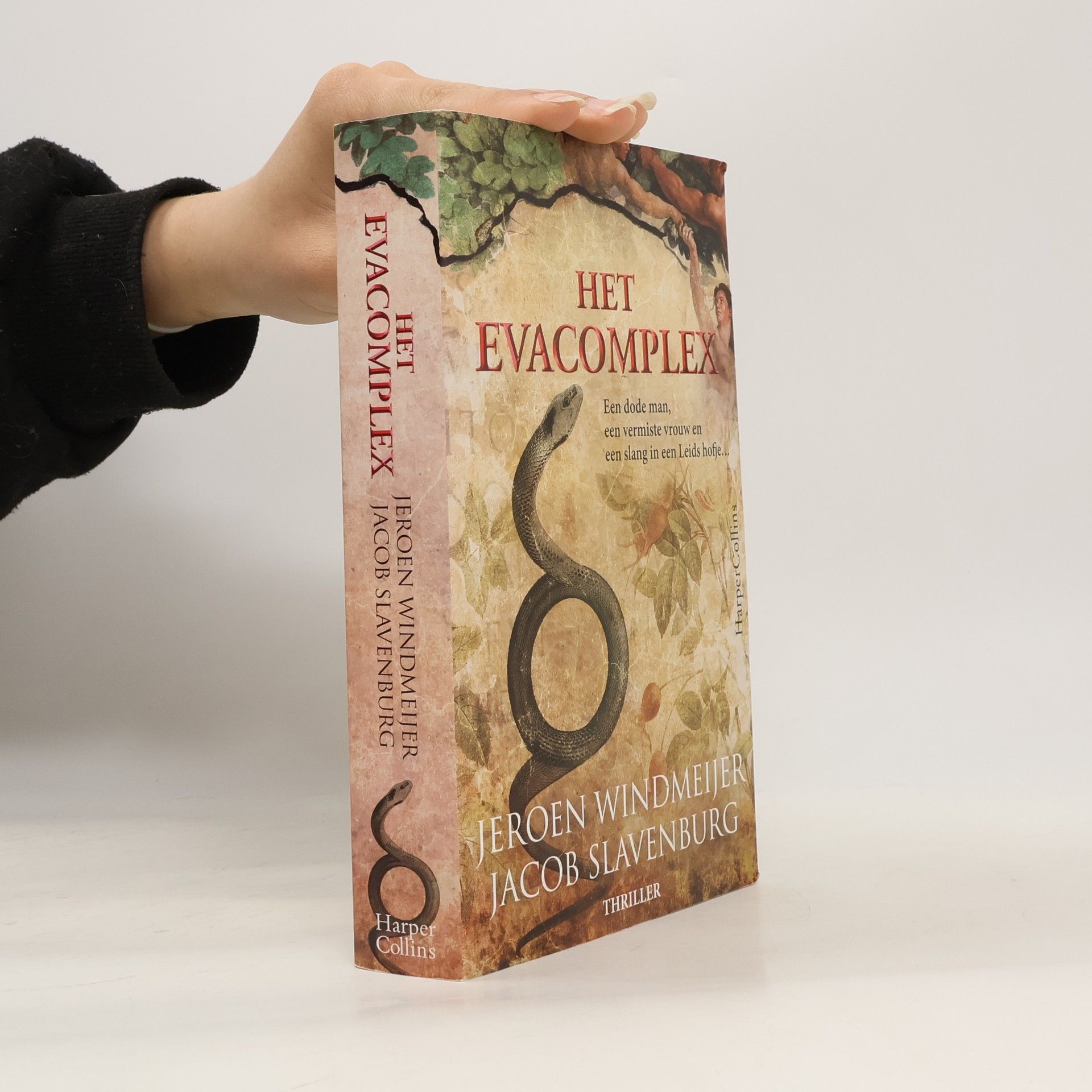 Jeroen Frederik Antonius Maria Windmeijer Het Evacomplex