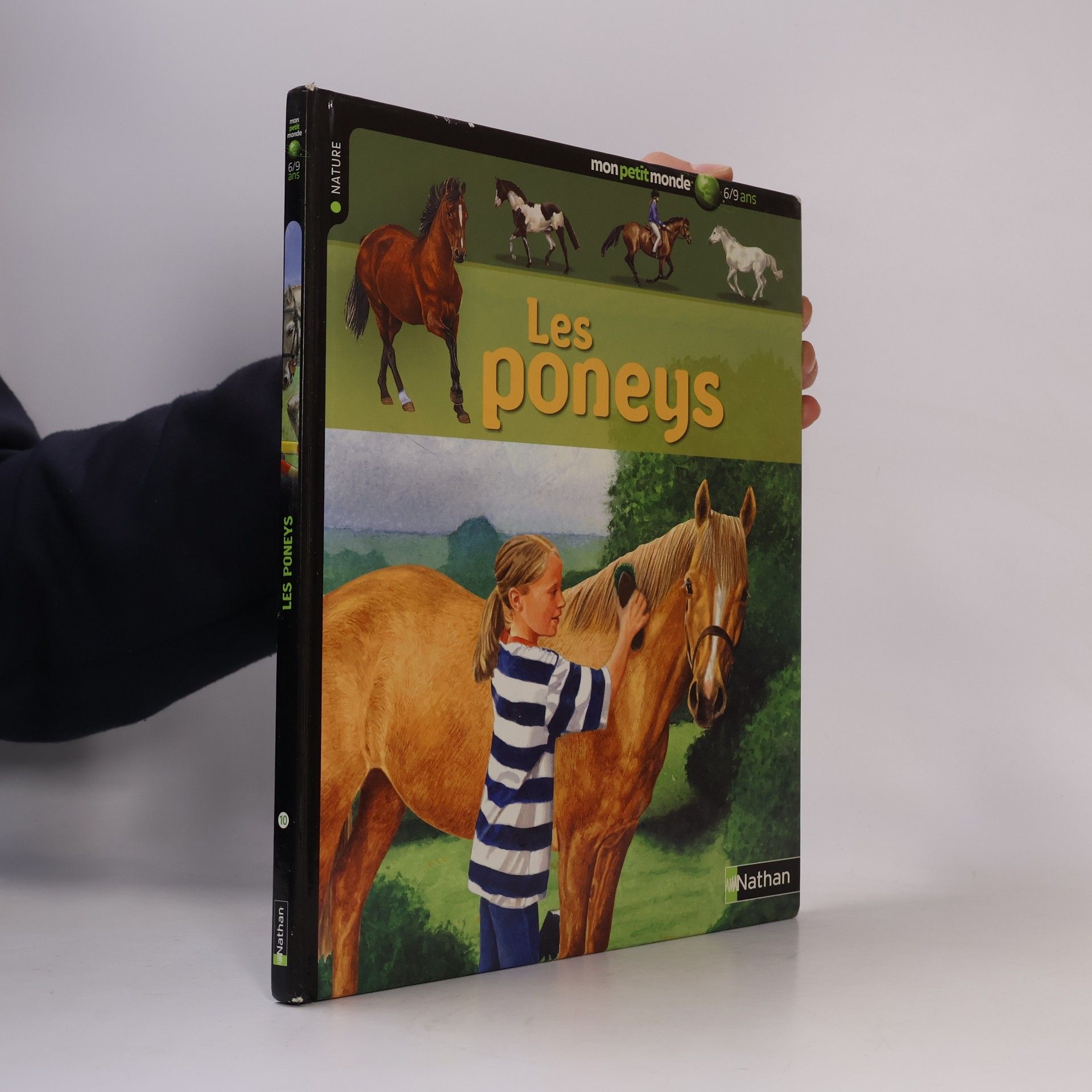Autorenkollektiv Les poneys