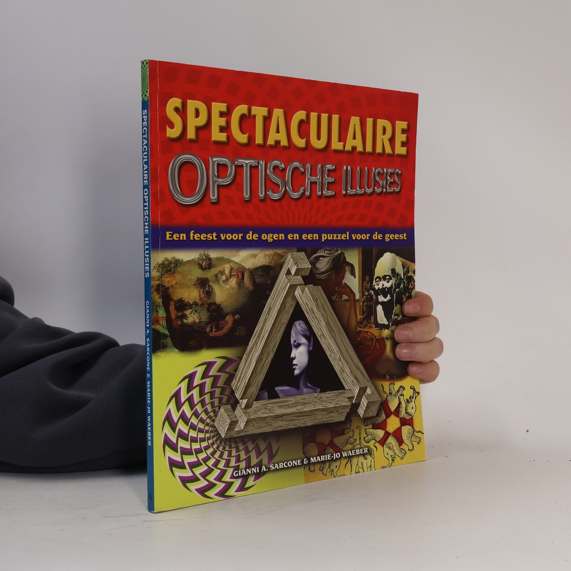 Spectaculaire optische illusies