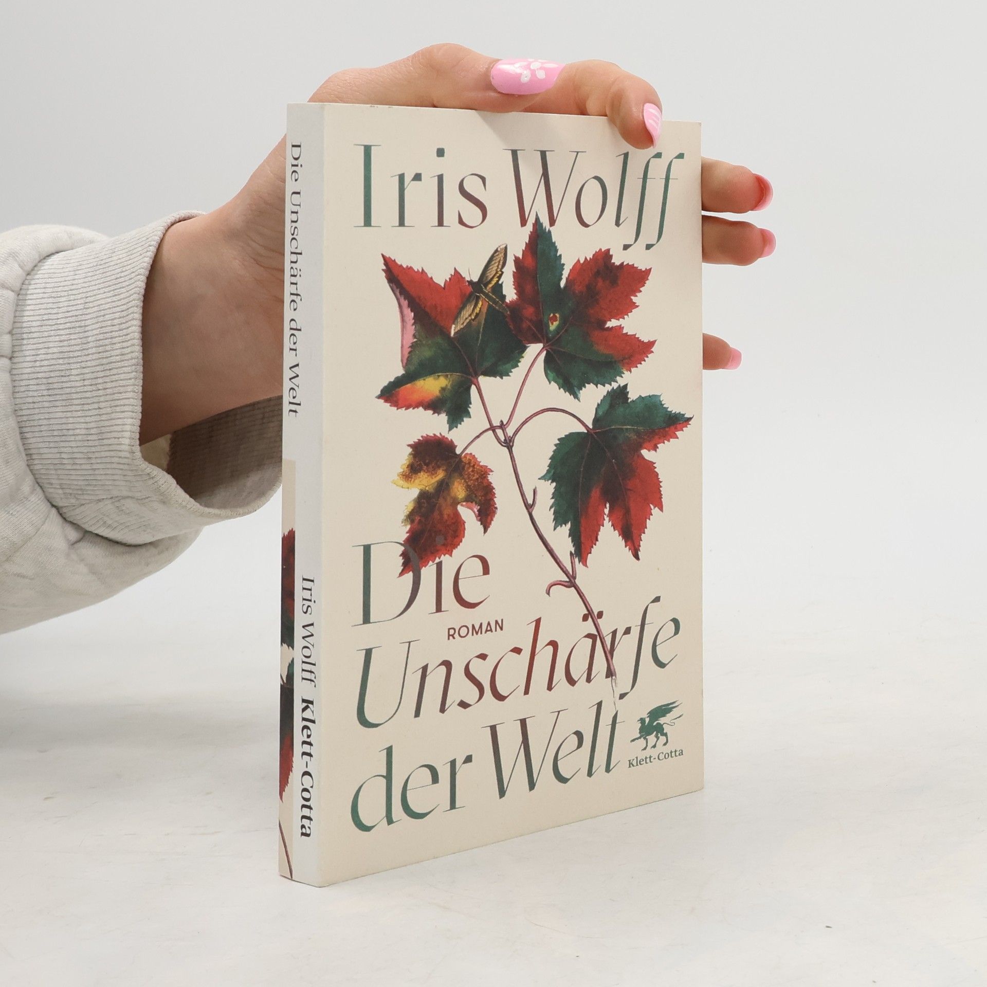 Iris Wolff Die Unschärfe der Welt