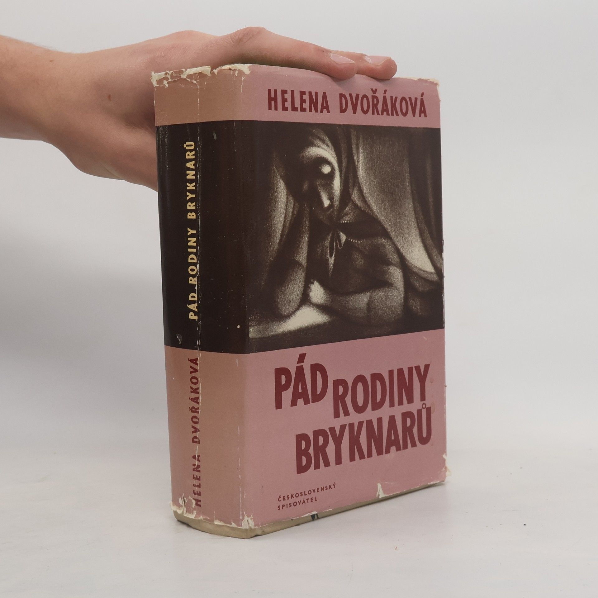 Helena Dvořáková Pád rodiny Bryknarů