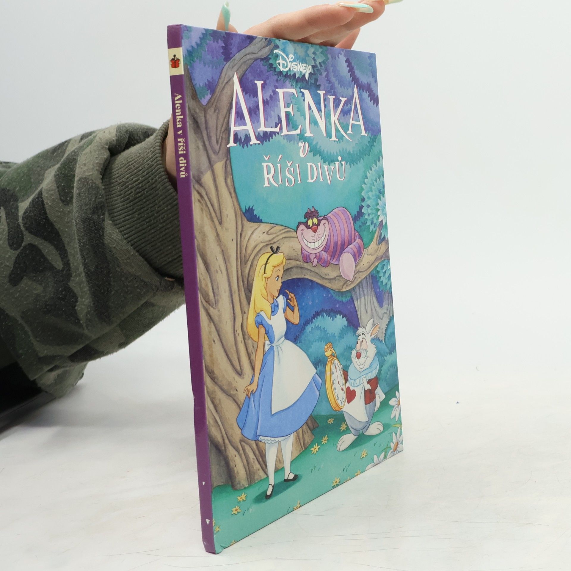 Autorenkollektiv Alenka v říši divů