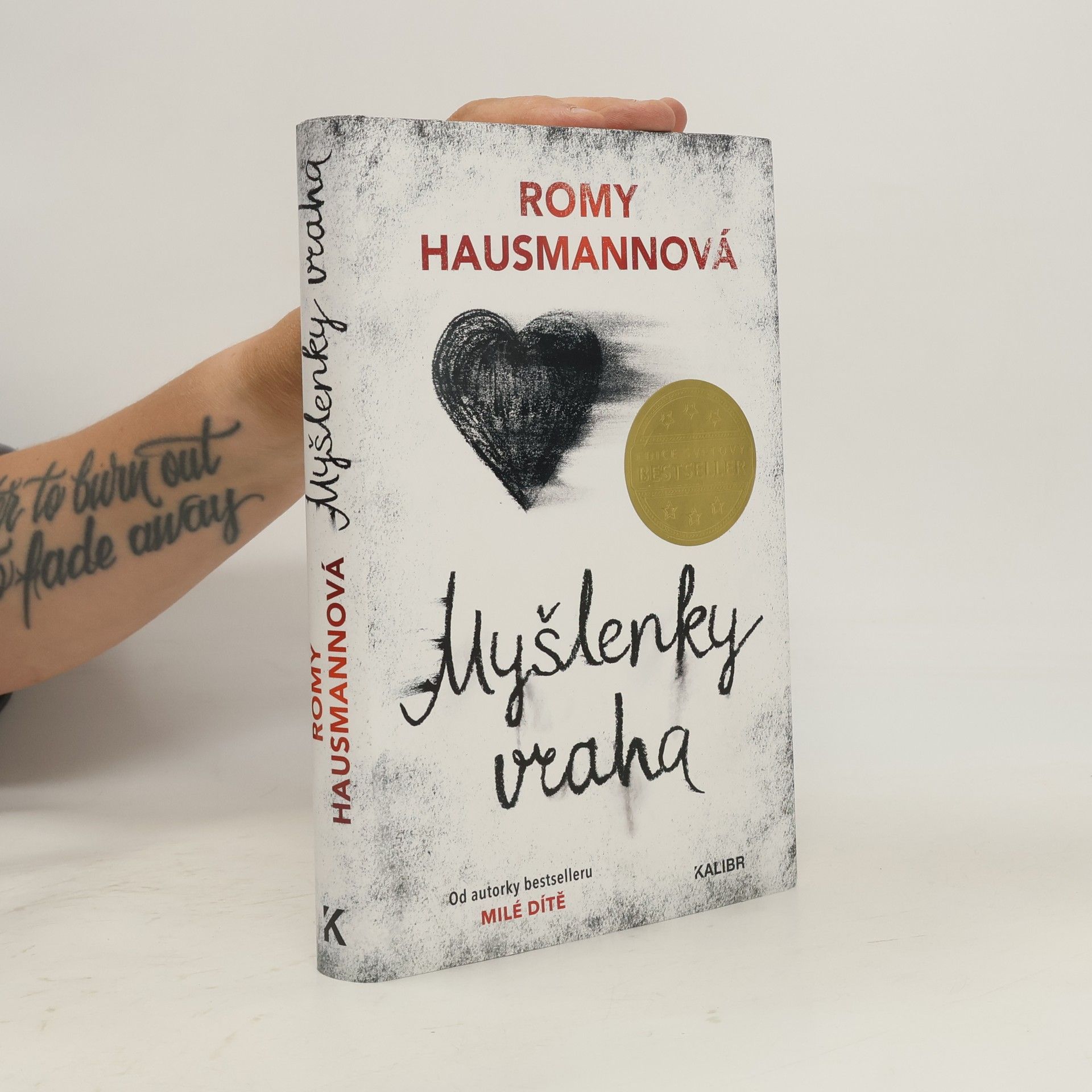 Romy Hausmann Myšlenky vraha