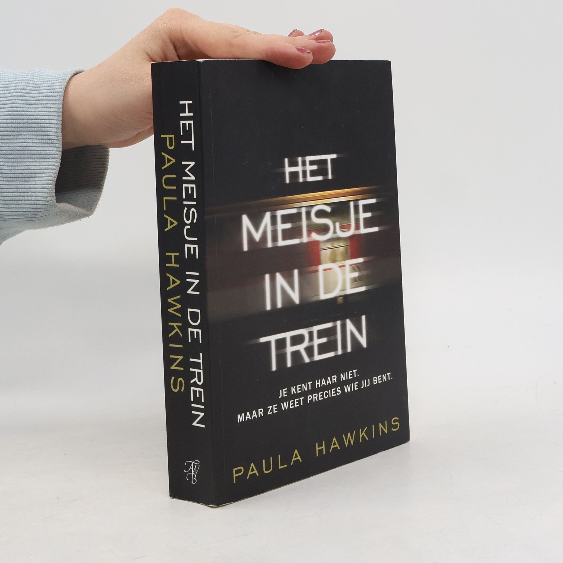 Het meisje in de trein / druk 1