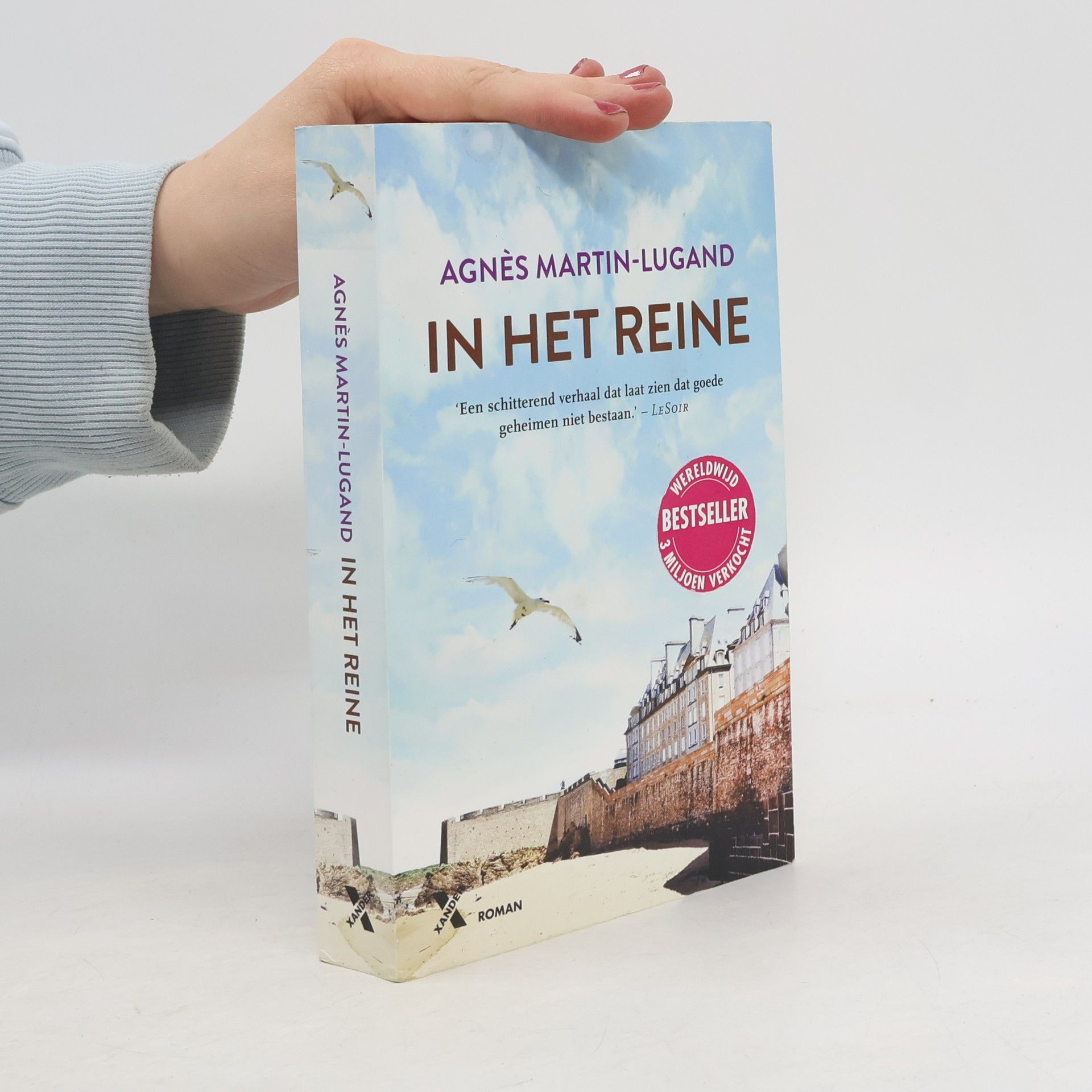 Agnès Martin-Lugand In het reine