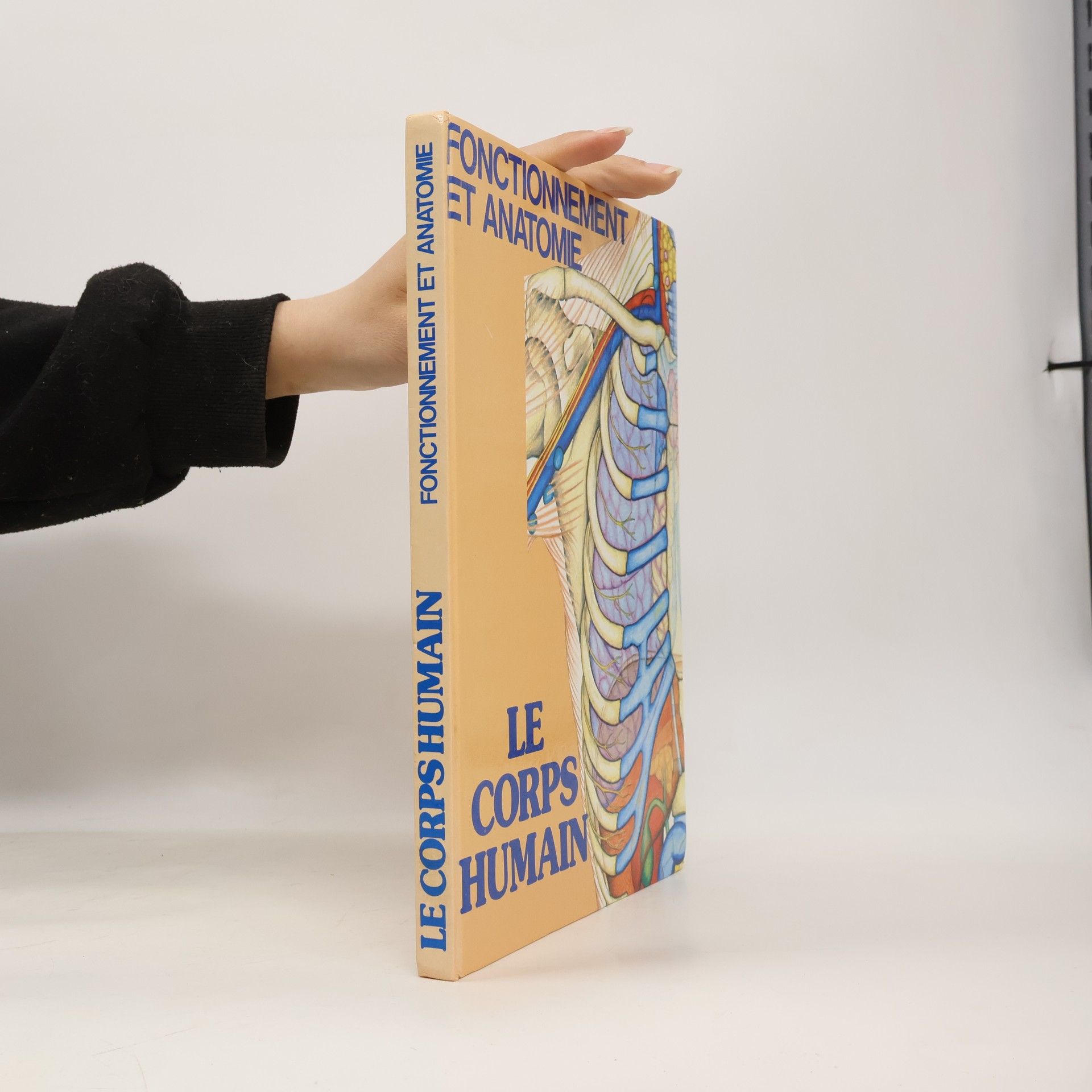 Kolektiv autorů Fonctionnement et anatomie. Le corps humain