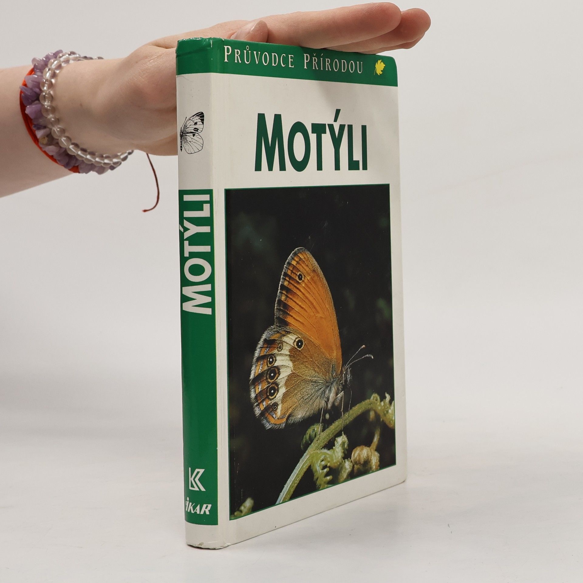 Helgard Reichholf Riehm Motýli