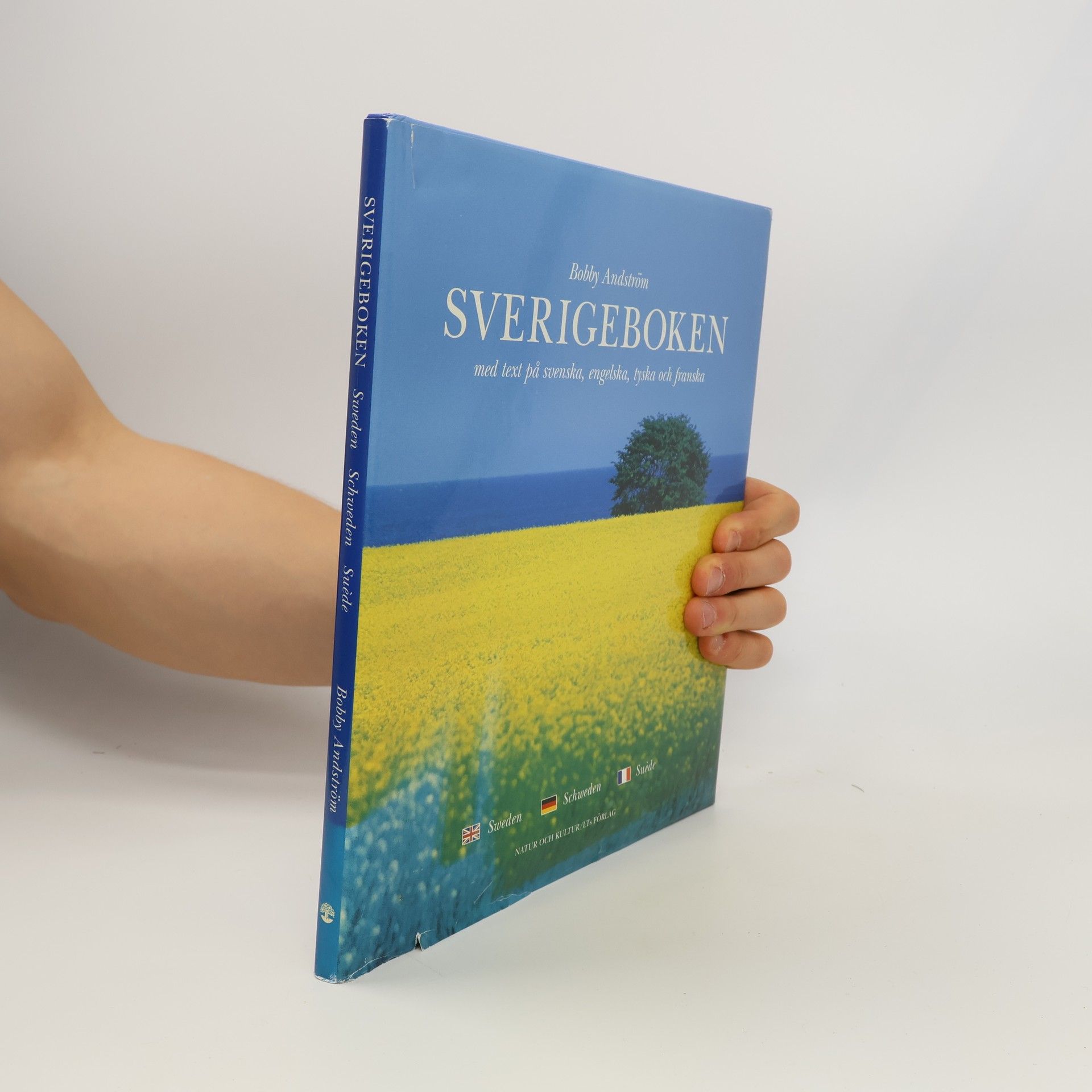 Bobby Andström Sverigeboken