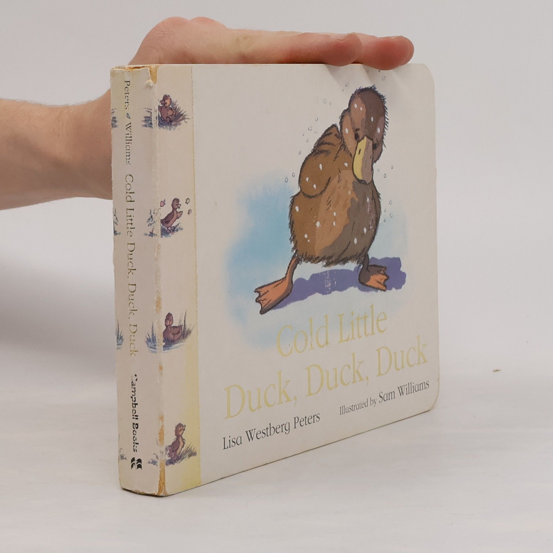 Lisa Westberg Peters Cold Little Duck, Duck, Duck