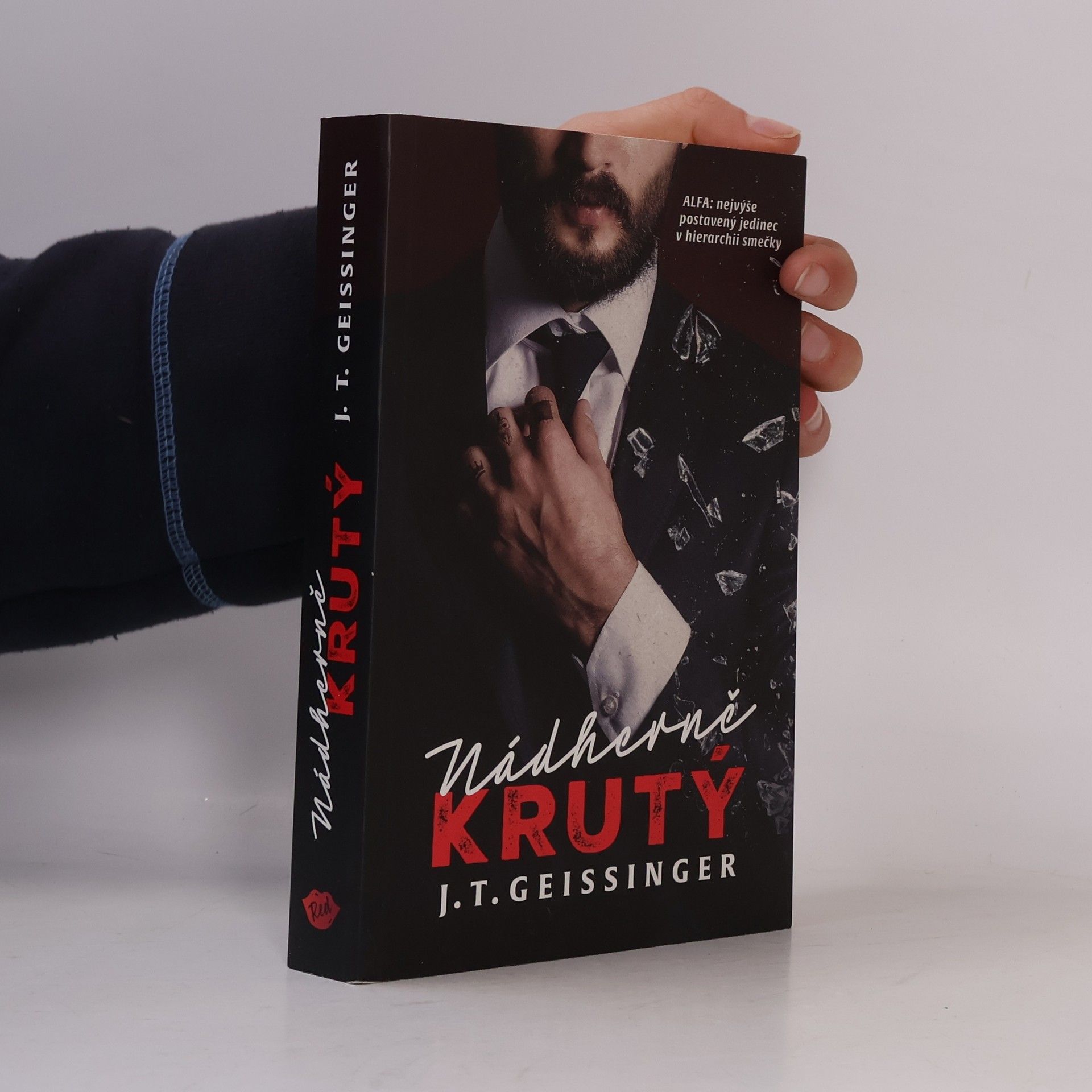J. T. Geissinger Nádherně krutý