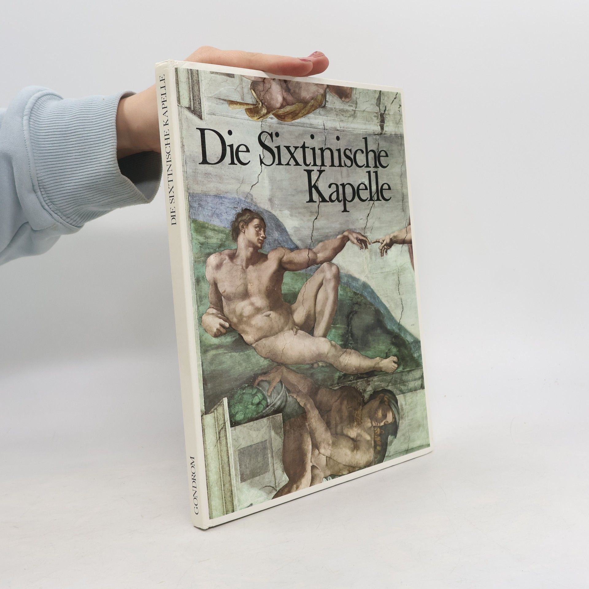 Autorenkollektiv Die Sixtinische Kapelle