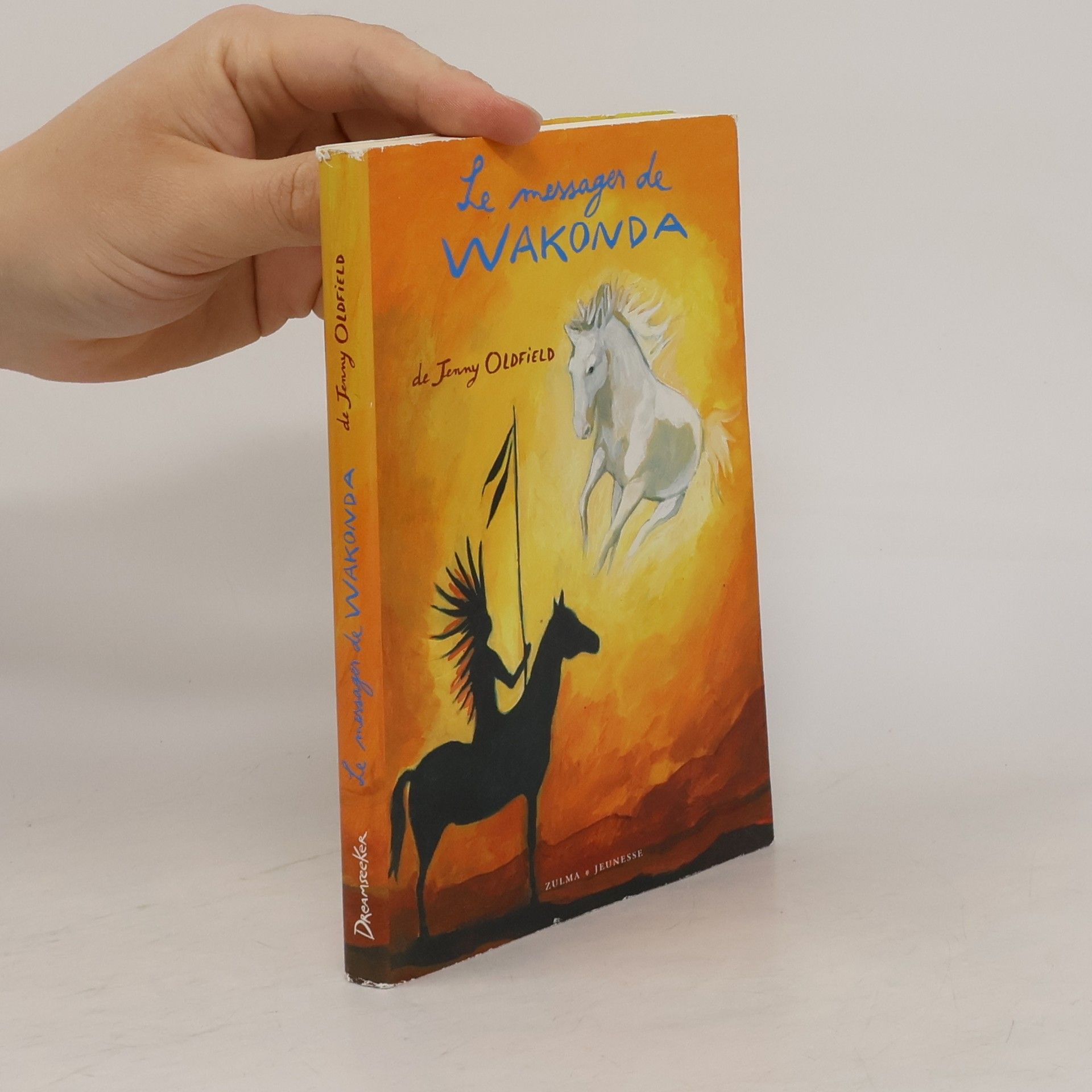 Jenny Oldfield Dreamseeker: Le messager de Wakonda