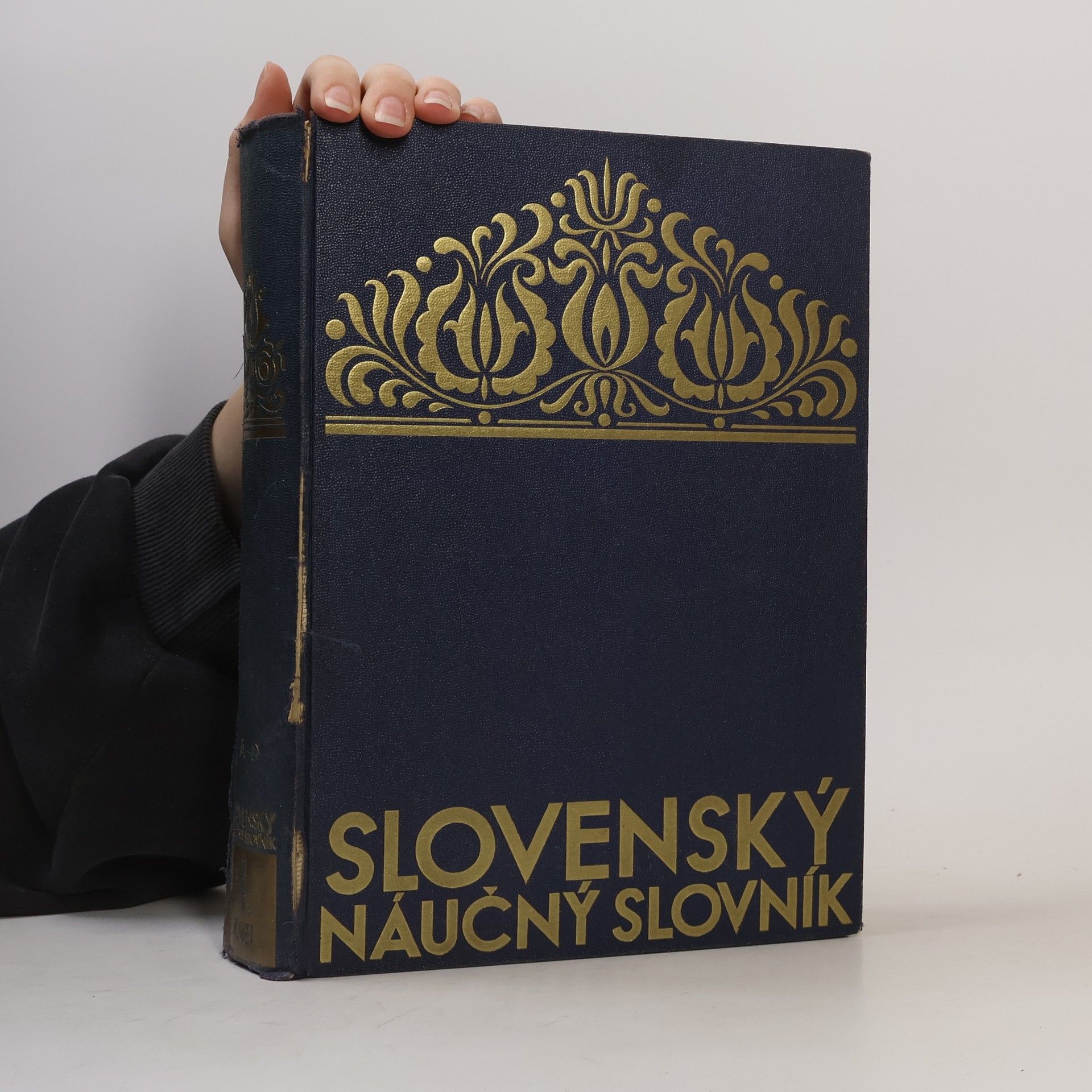 Autorenkollektiv Slovenský náučný slovník 1