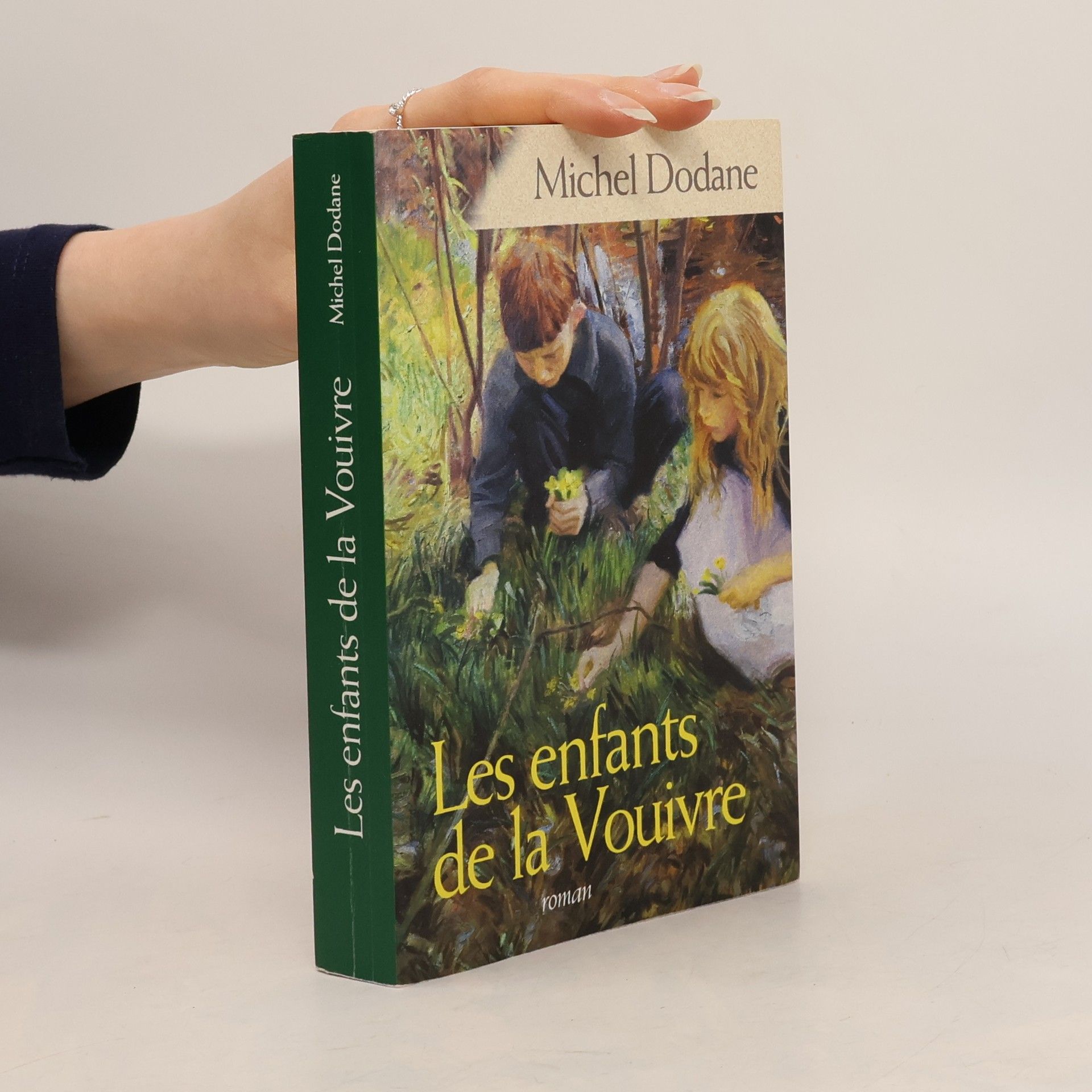 Michel Dodane Les enfants de la vouivre