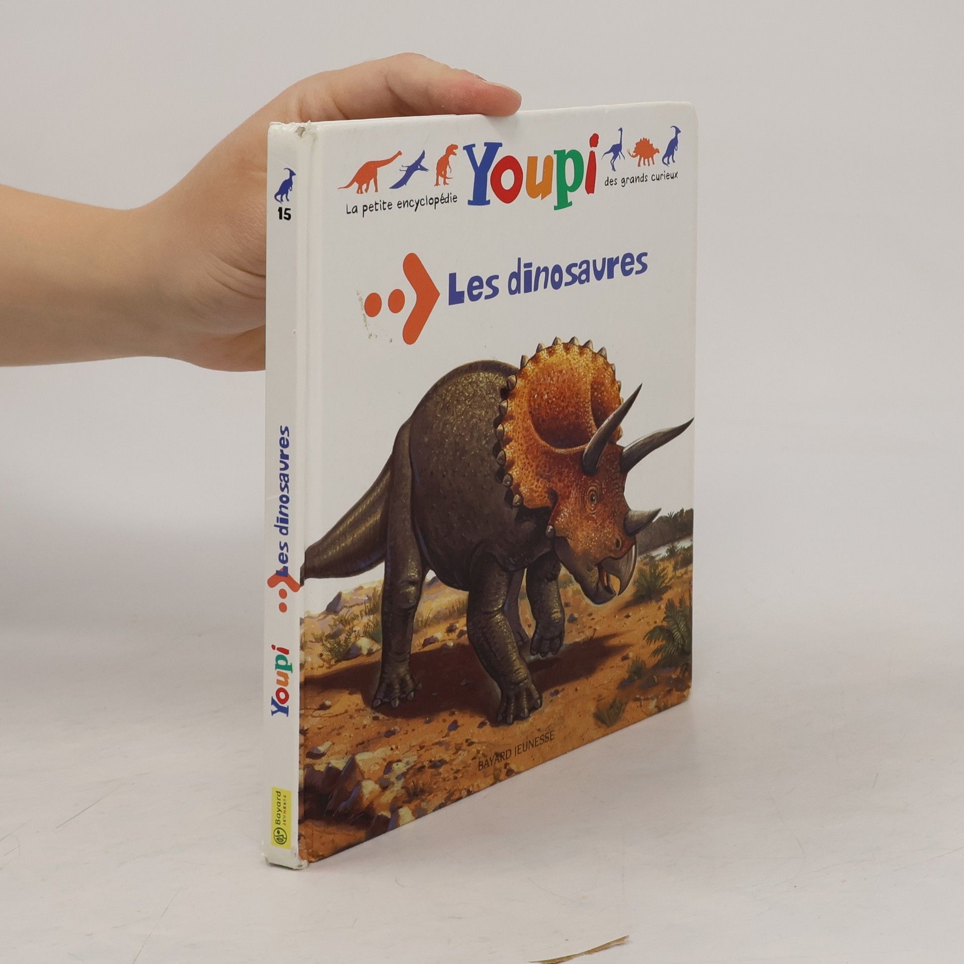 Bertrand Fichou Les dinosaures