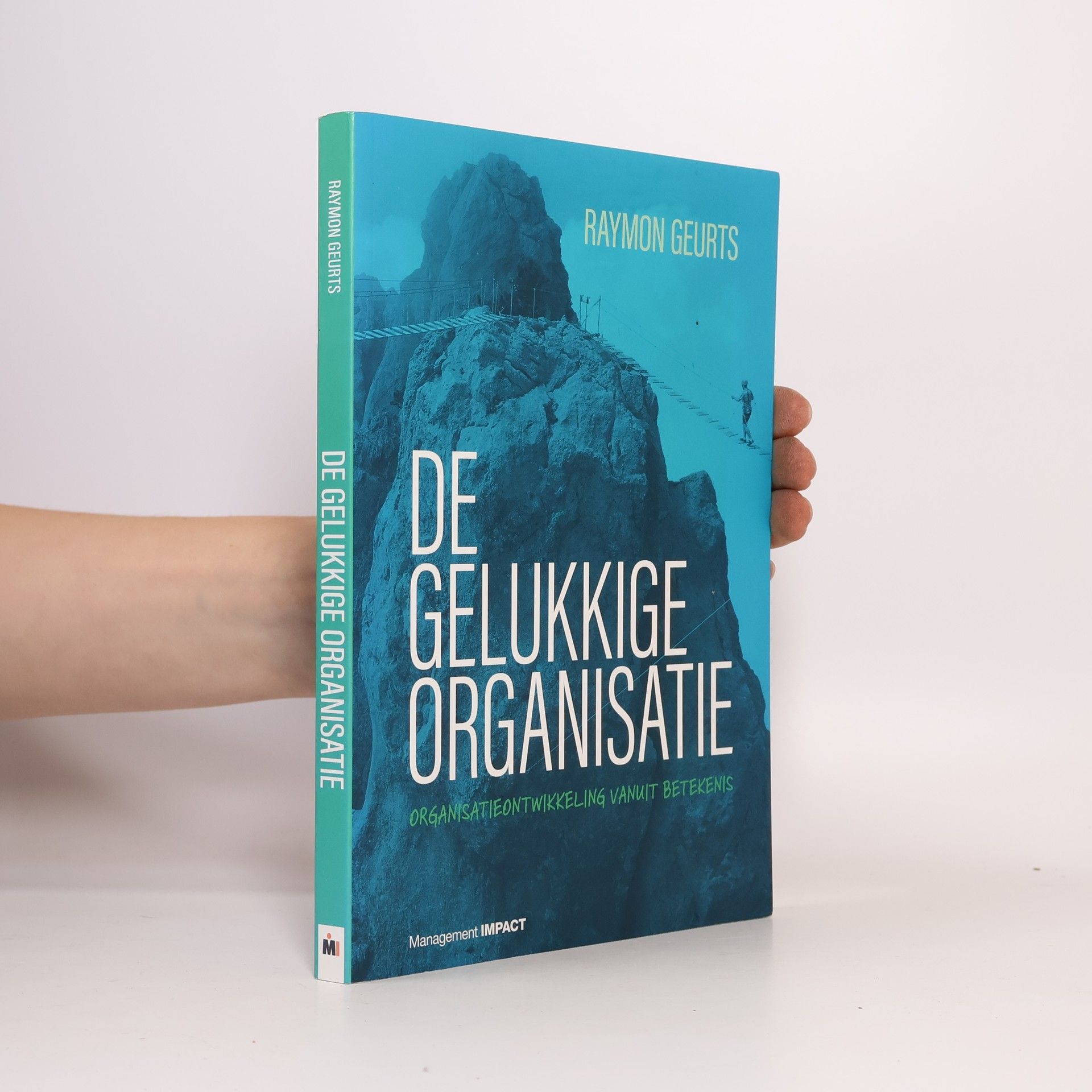 Raymon Geurts De gelukkige organisatie