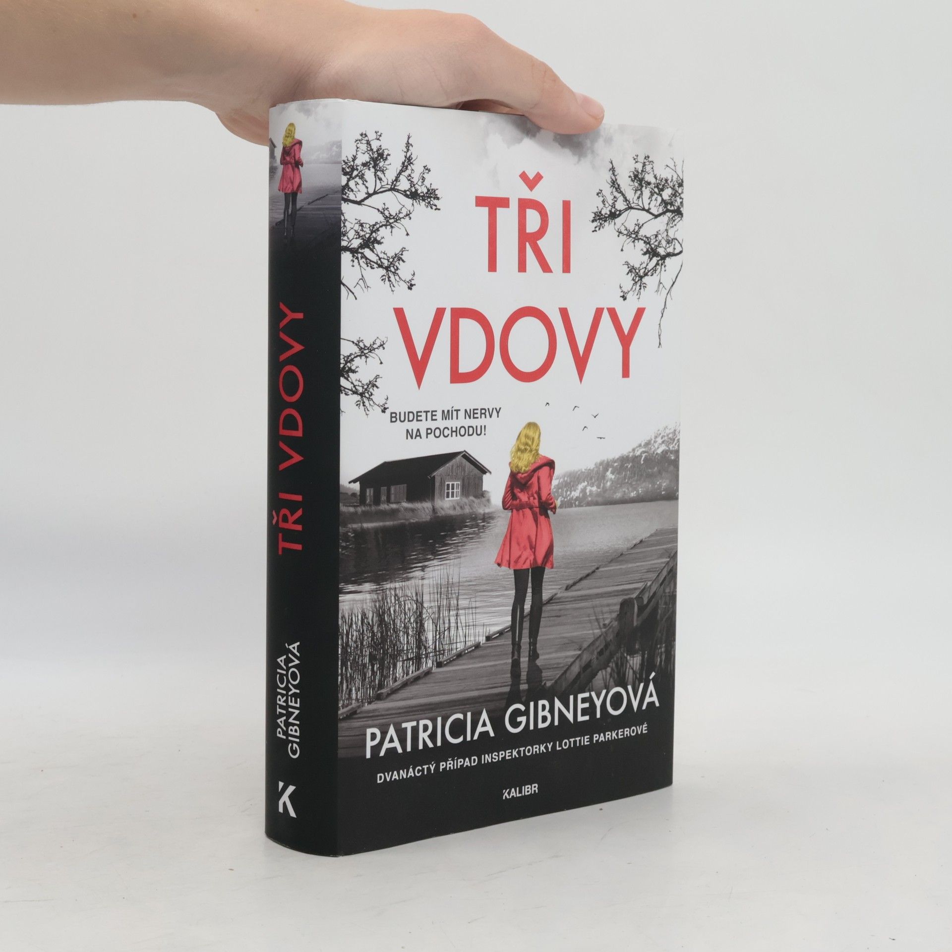 Patricia Gibney Tři vdovy