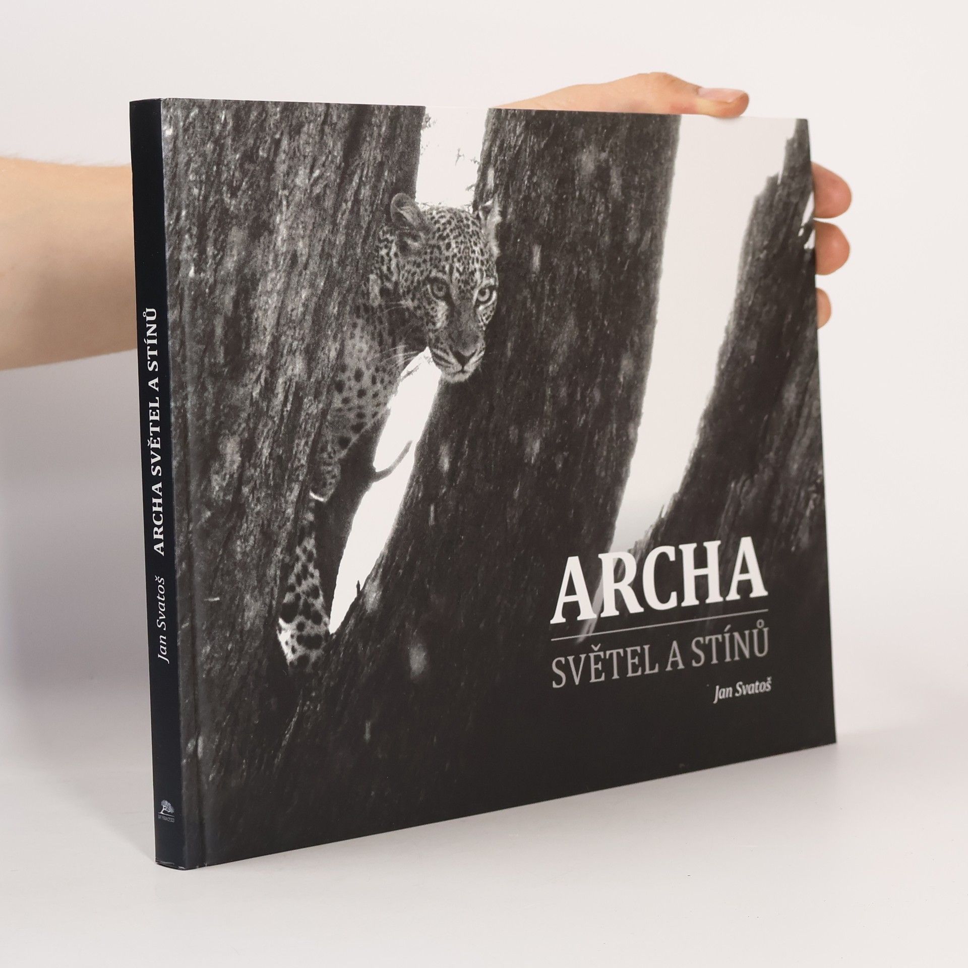 Archa světel a stínů