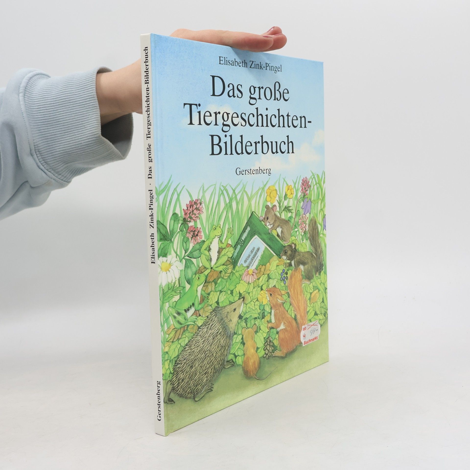 Autorenkollektiv Das grosse Tiergeschichten-Bilderbuch