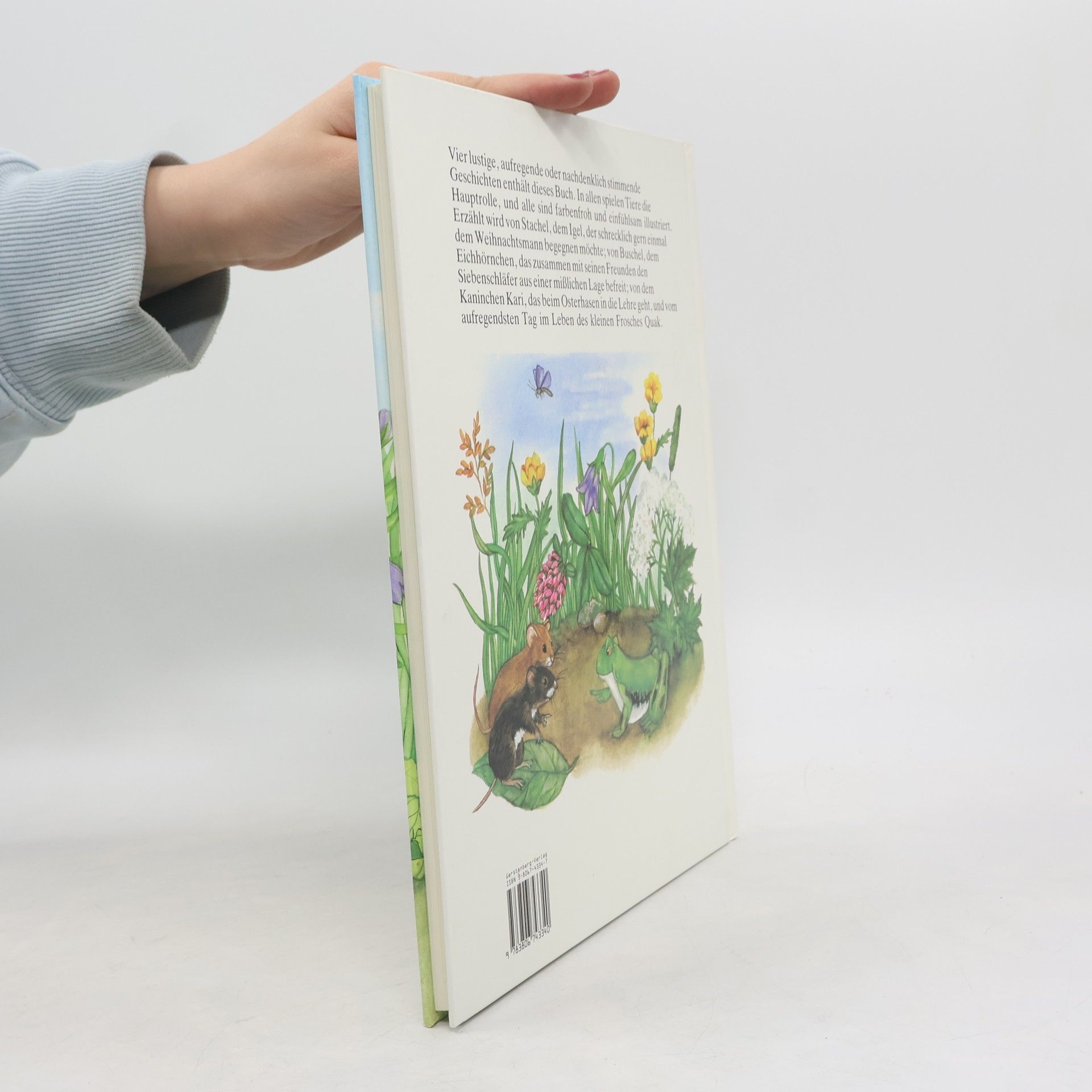 Autorenkollektiv Das grosse Tiergeschichten-Bilderbuch