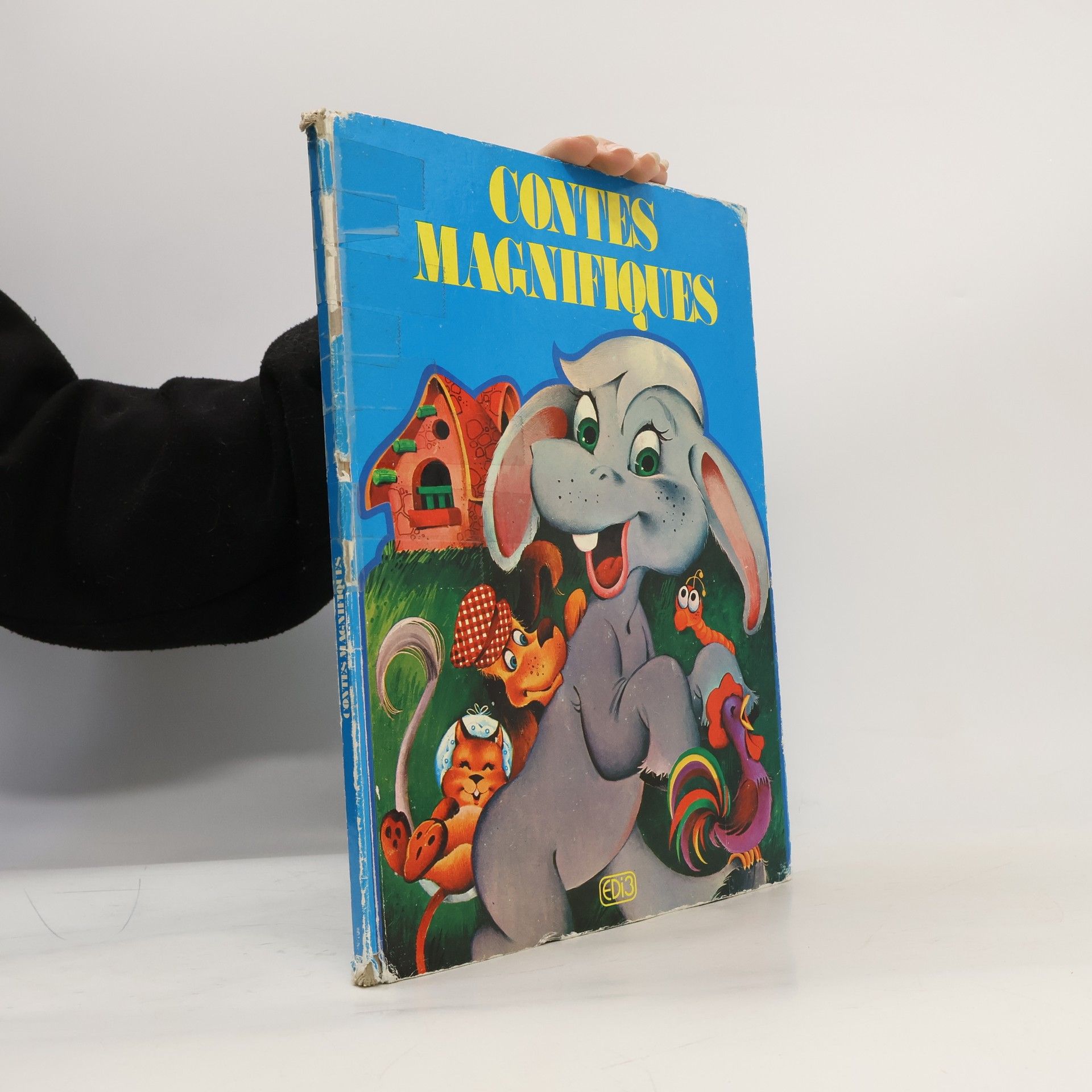 Auteurscollectief Contes Magnifiques