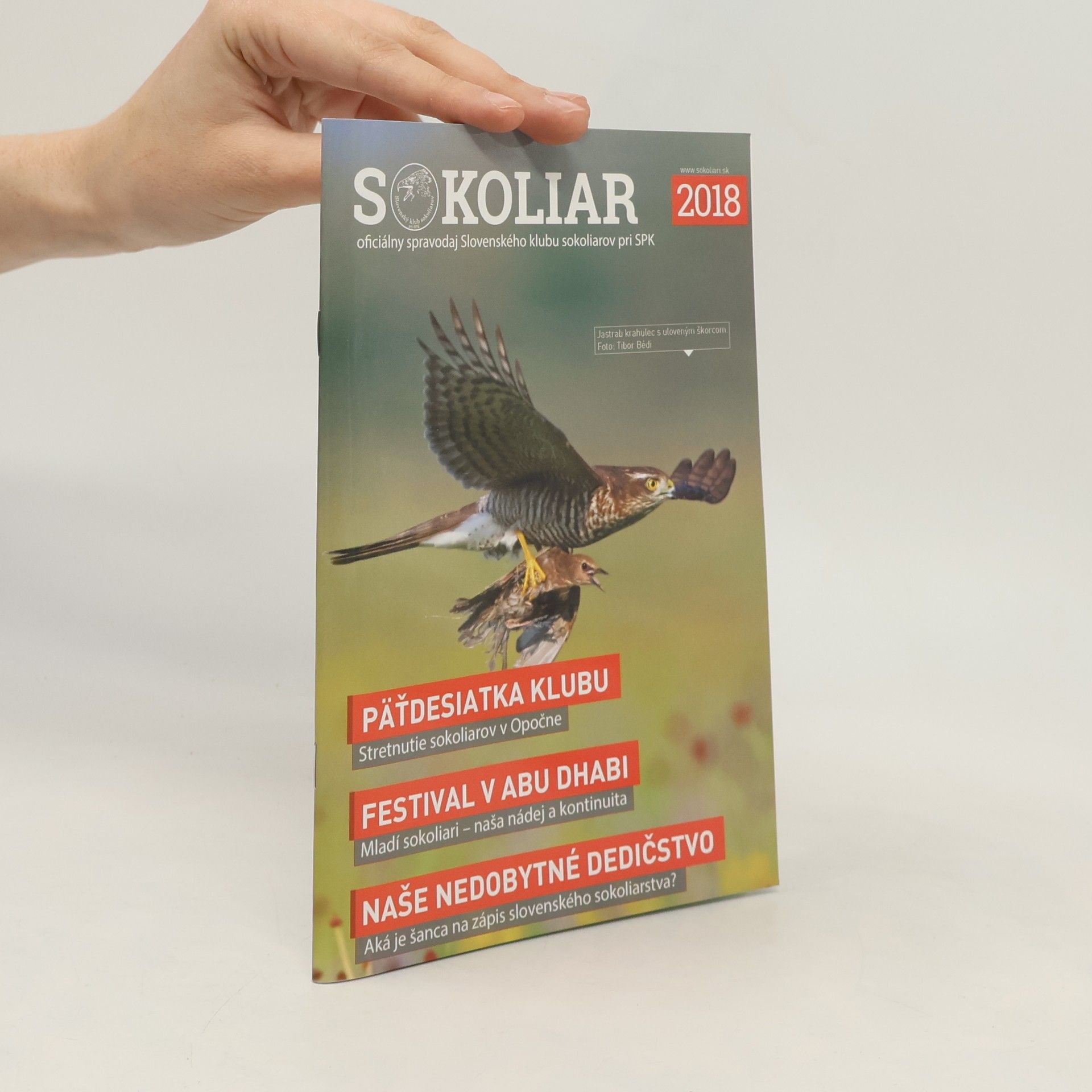 Kolektív autorov Sokoliar