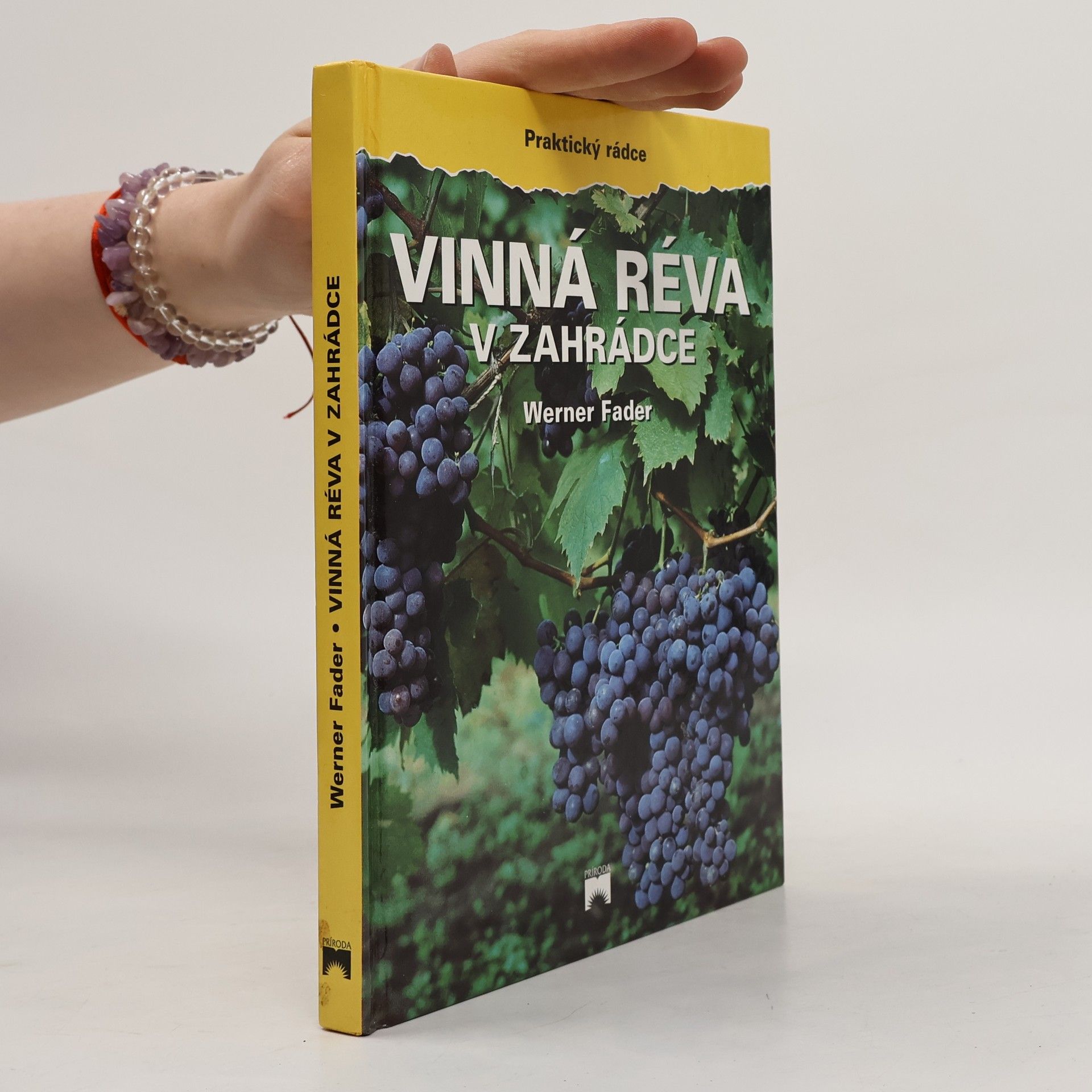 Werner Fader Vinná réva v zahrádce