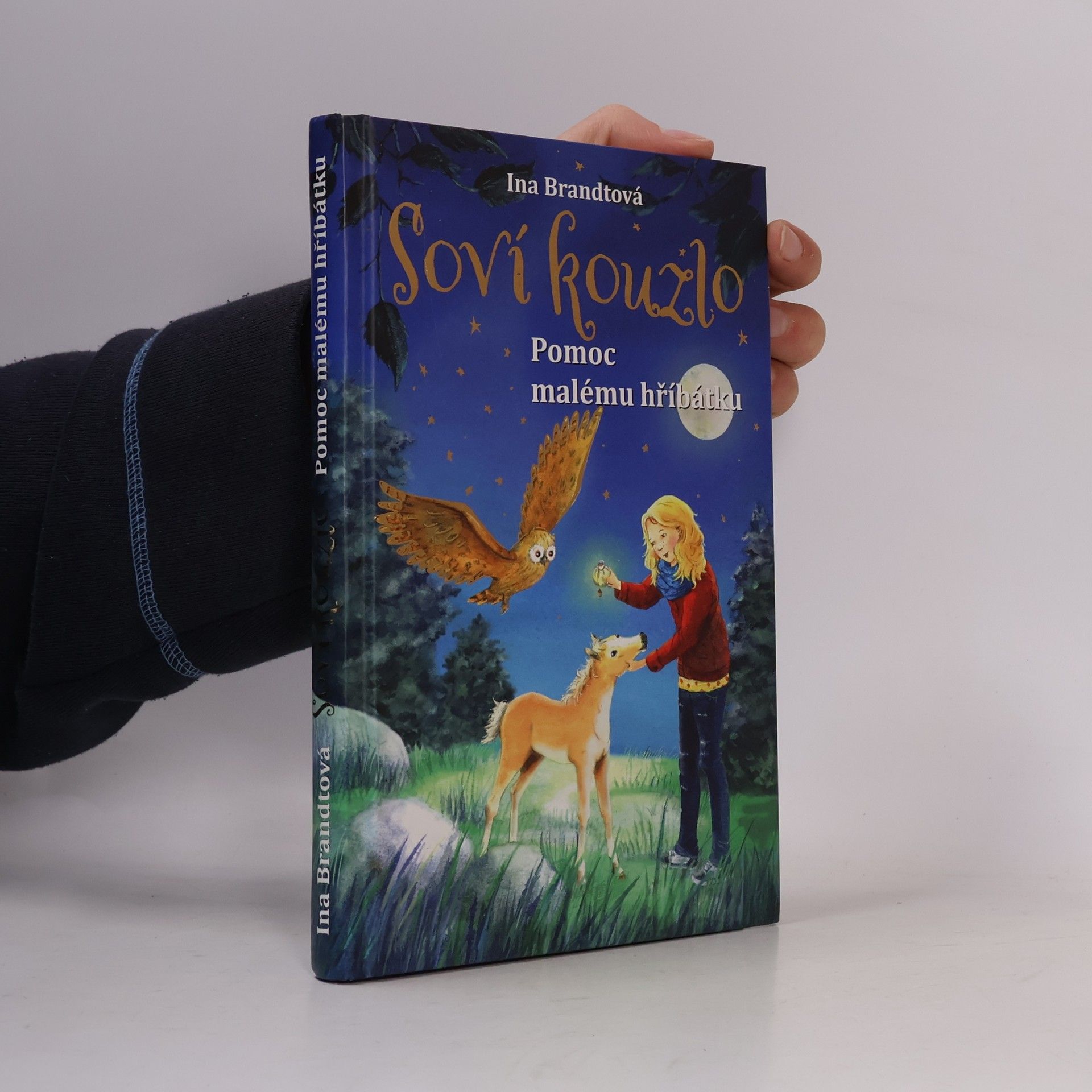 Irene Mohr Soví kouzlo. Pomoc malému hříbátku
