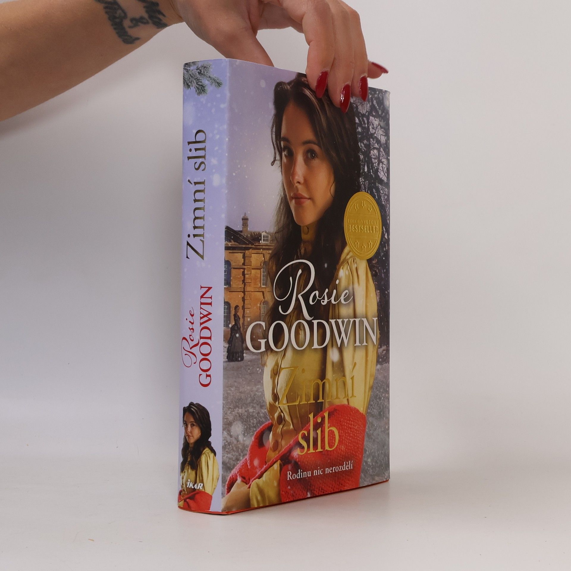 Rosie Goodwin Zimní slib