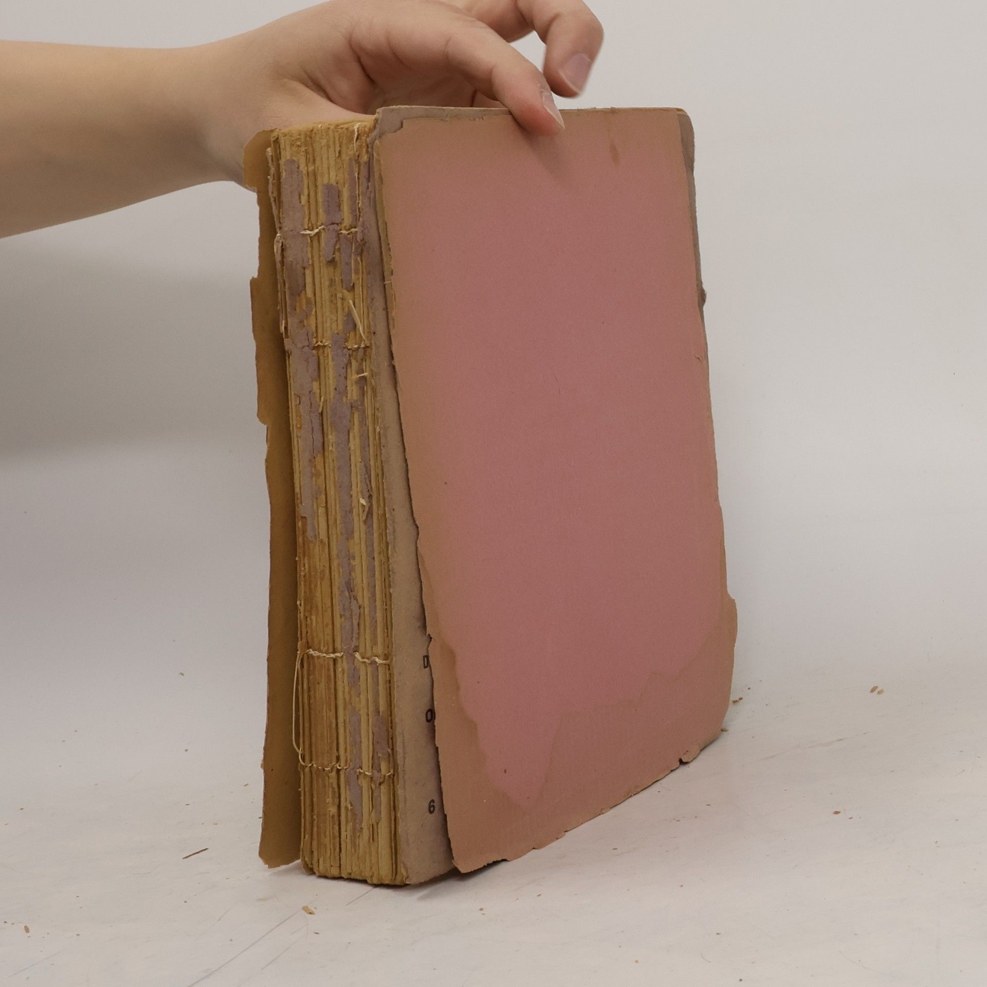 Autorenkollektiv Almanach des Amis de Guignol