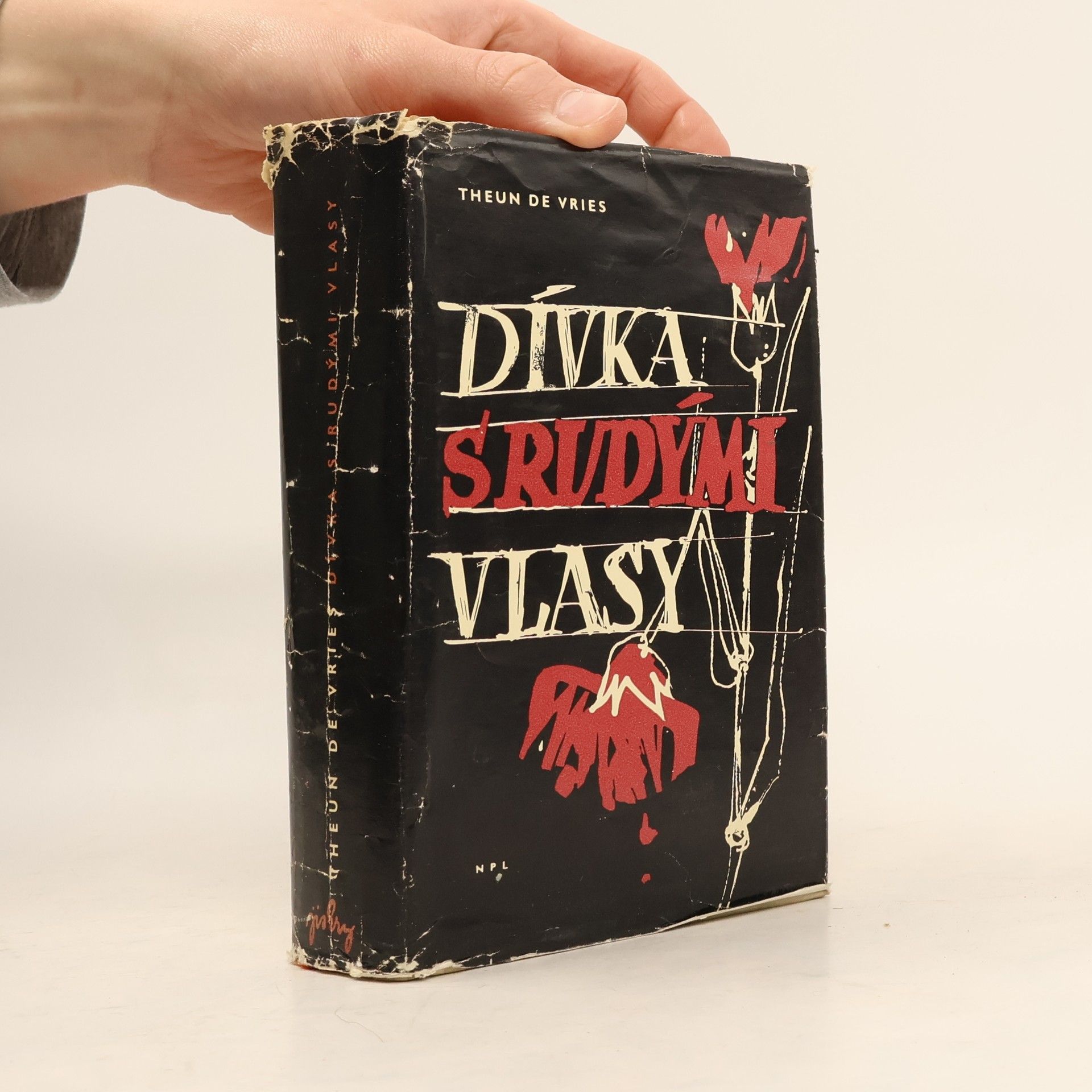 Dívka s rudými vlasy
