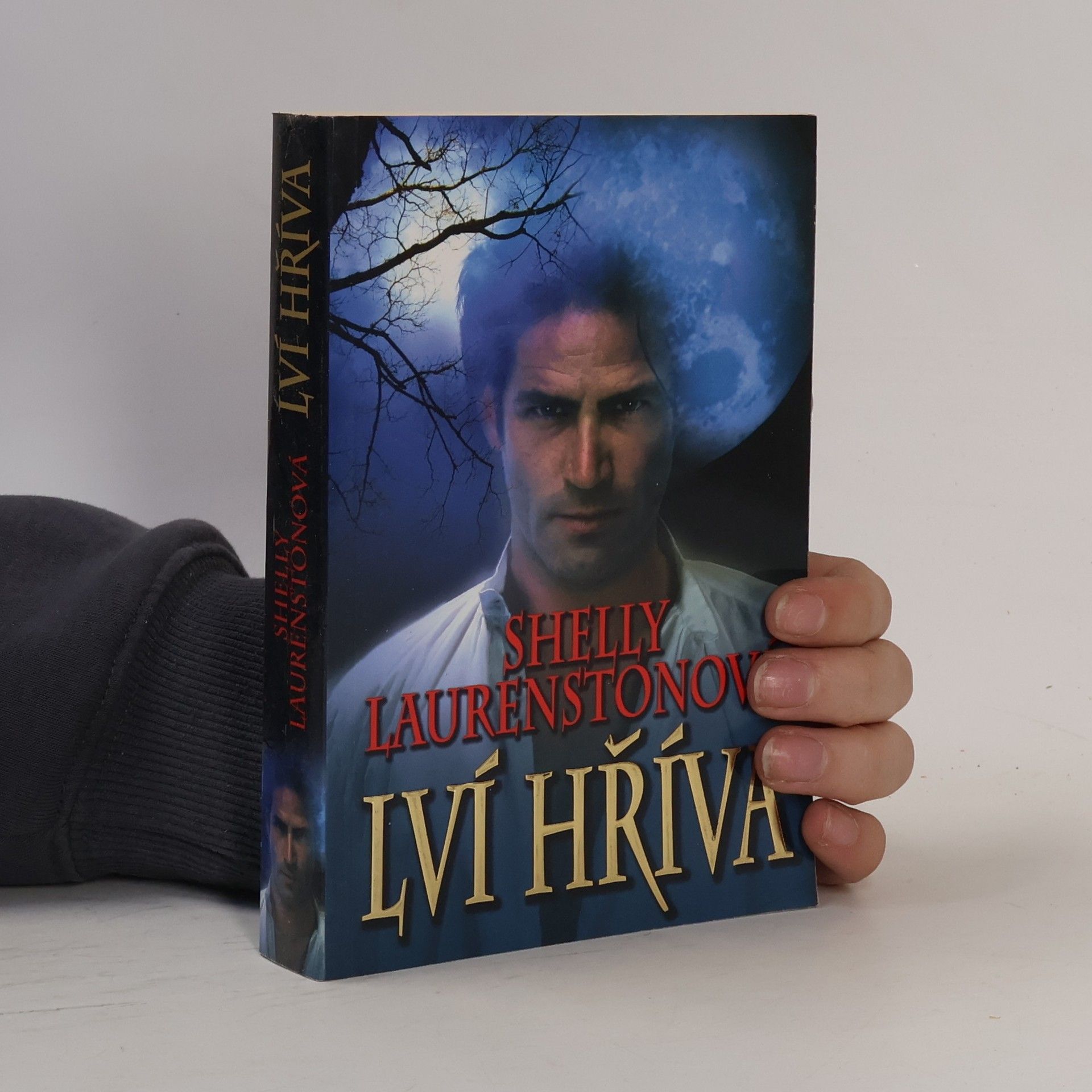 Shelly Laurenston Lví hříva